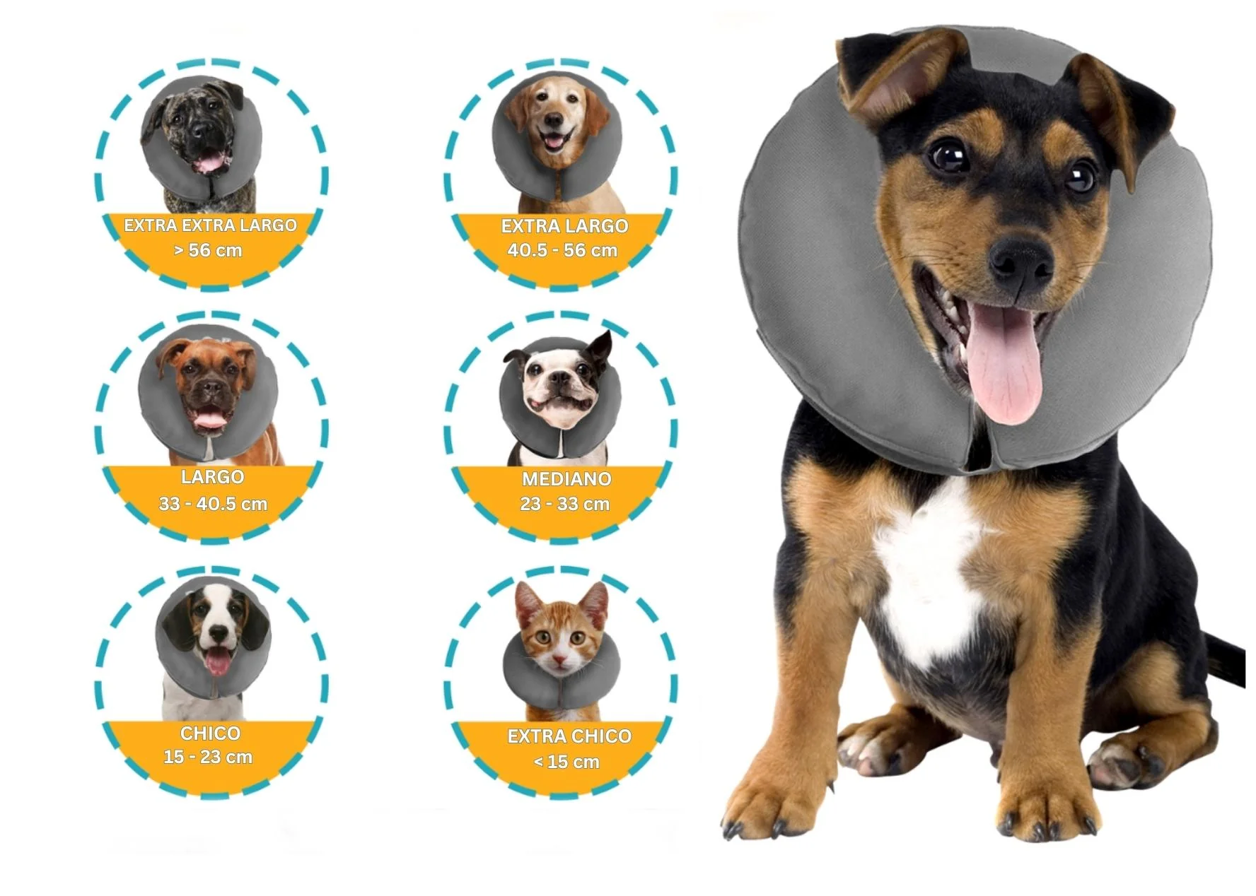 Imagen del producto 4