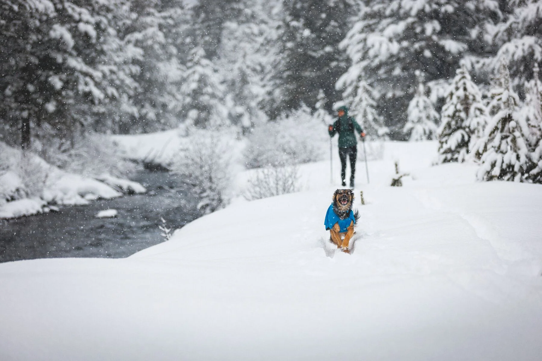 Imagen del producto 10