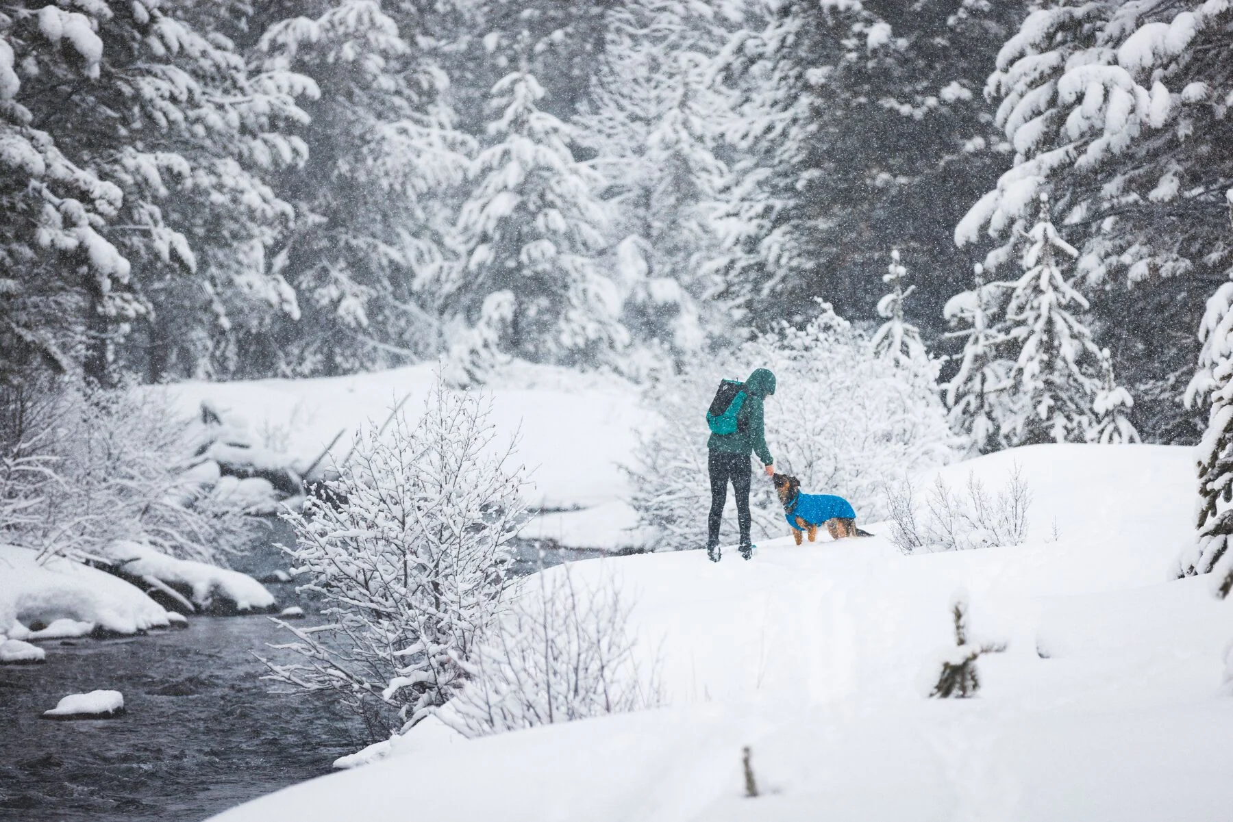 Imagen del producto 11