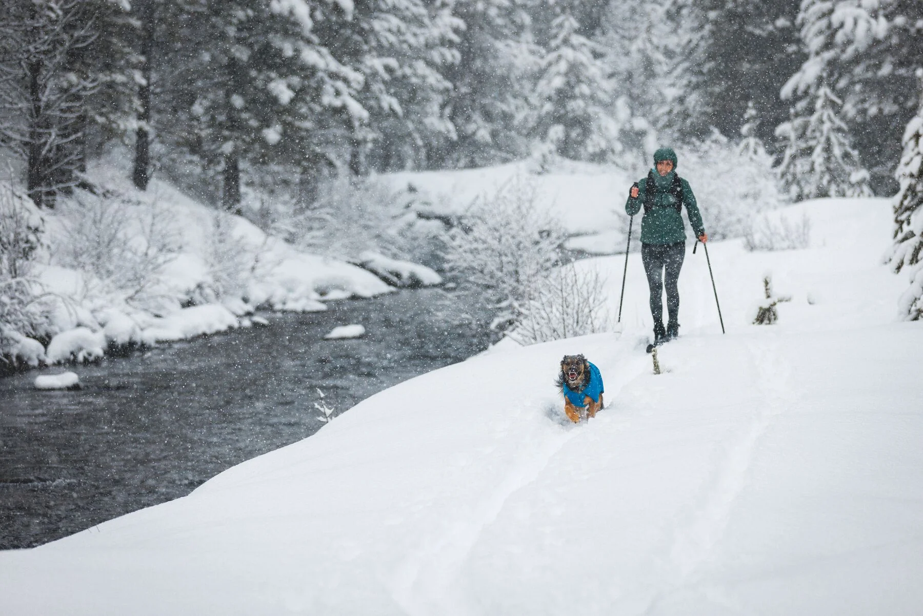 Imagen del producto 12