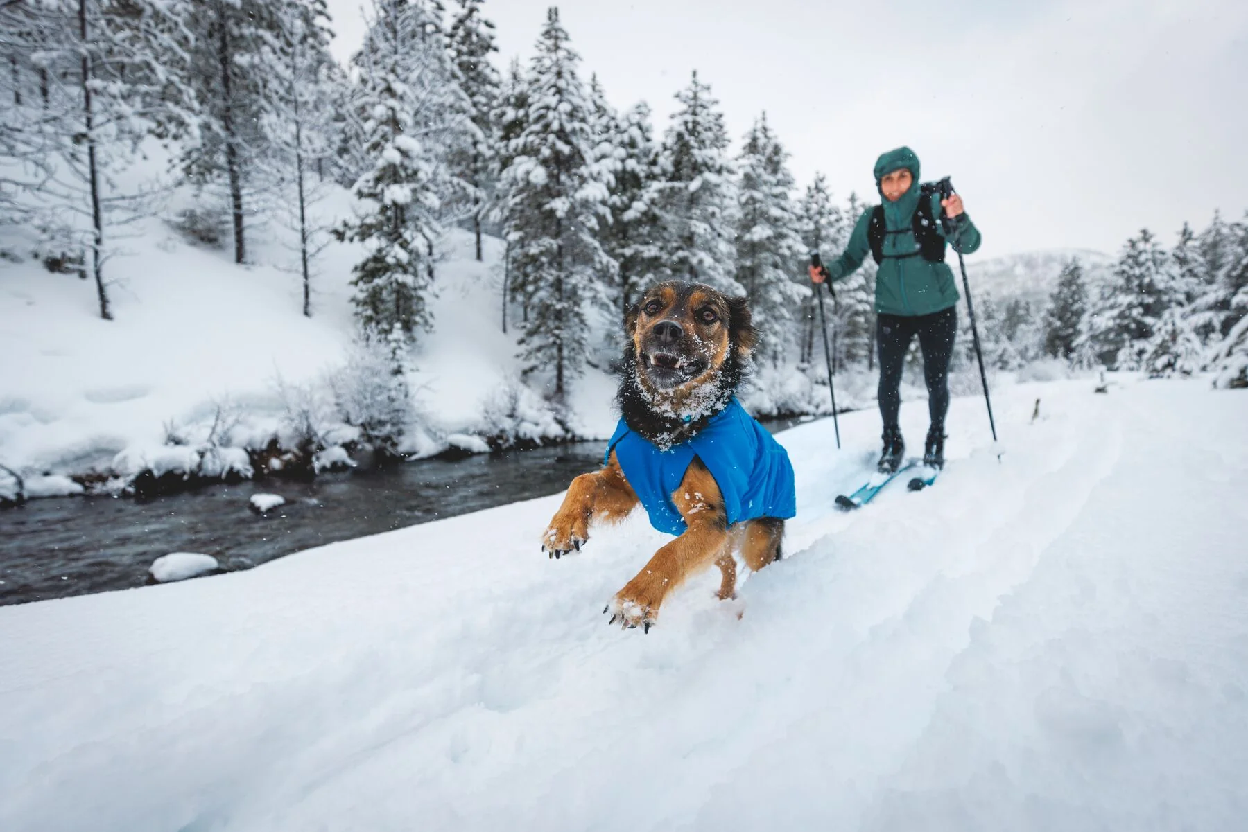 Imagen del producto 16