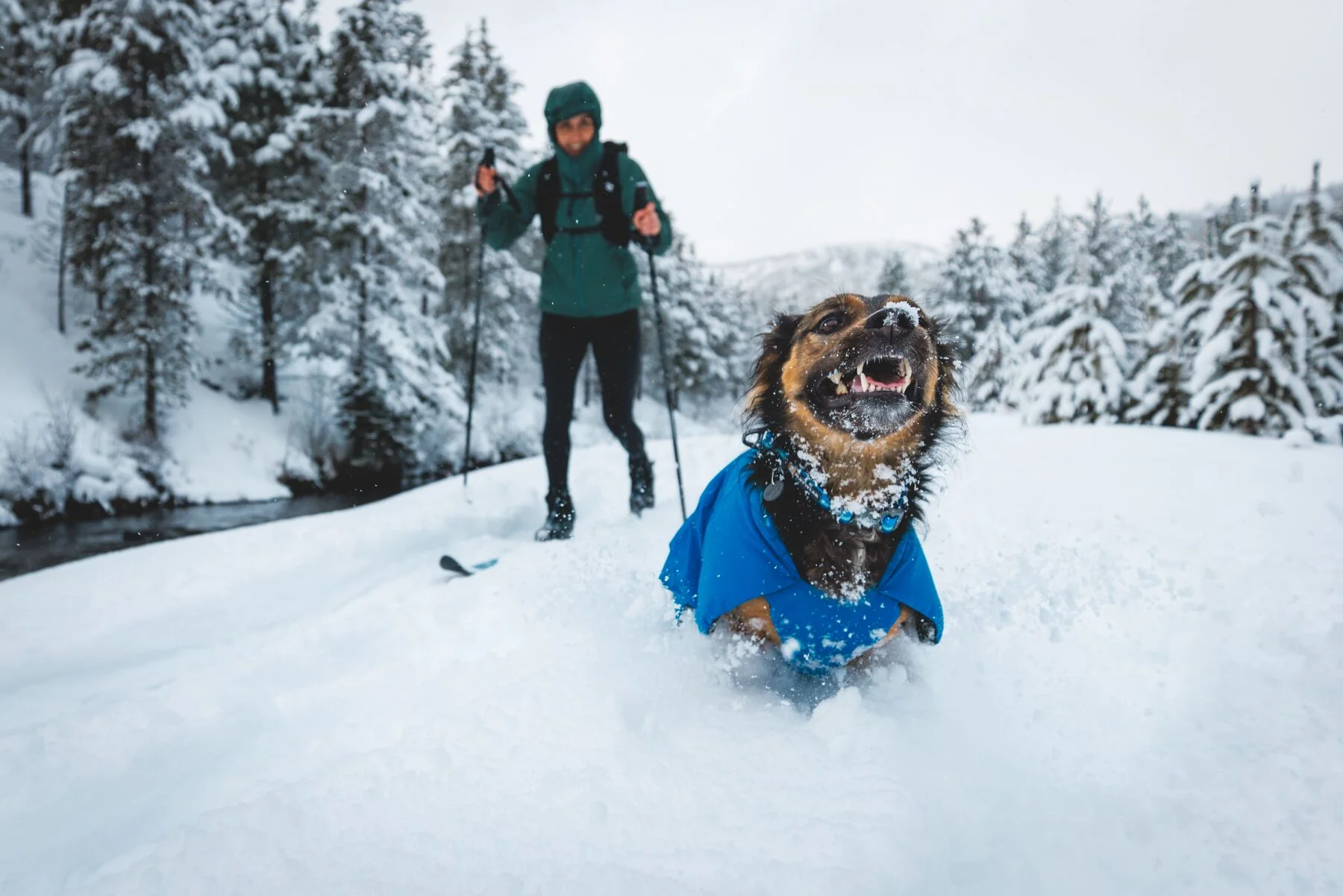 Imagen del producto 17