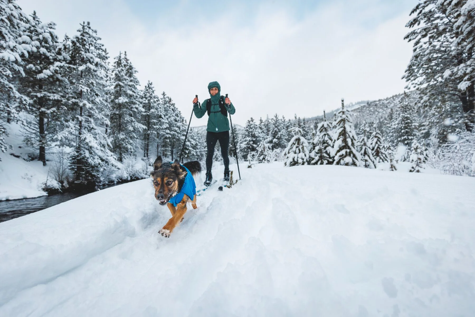 Imagen del producto 18