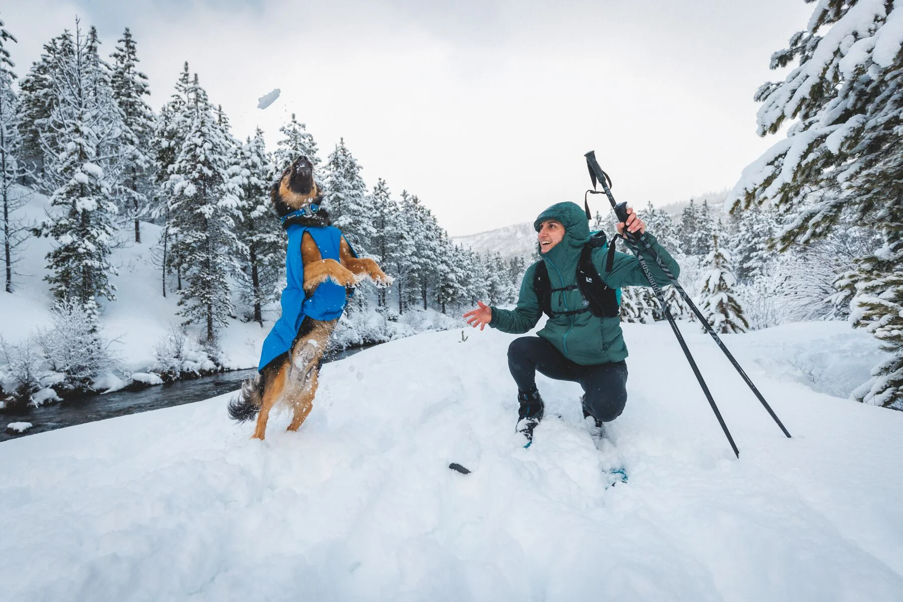 Imagen del producto 20