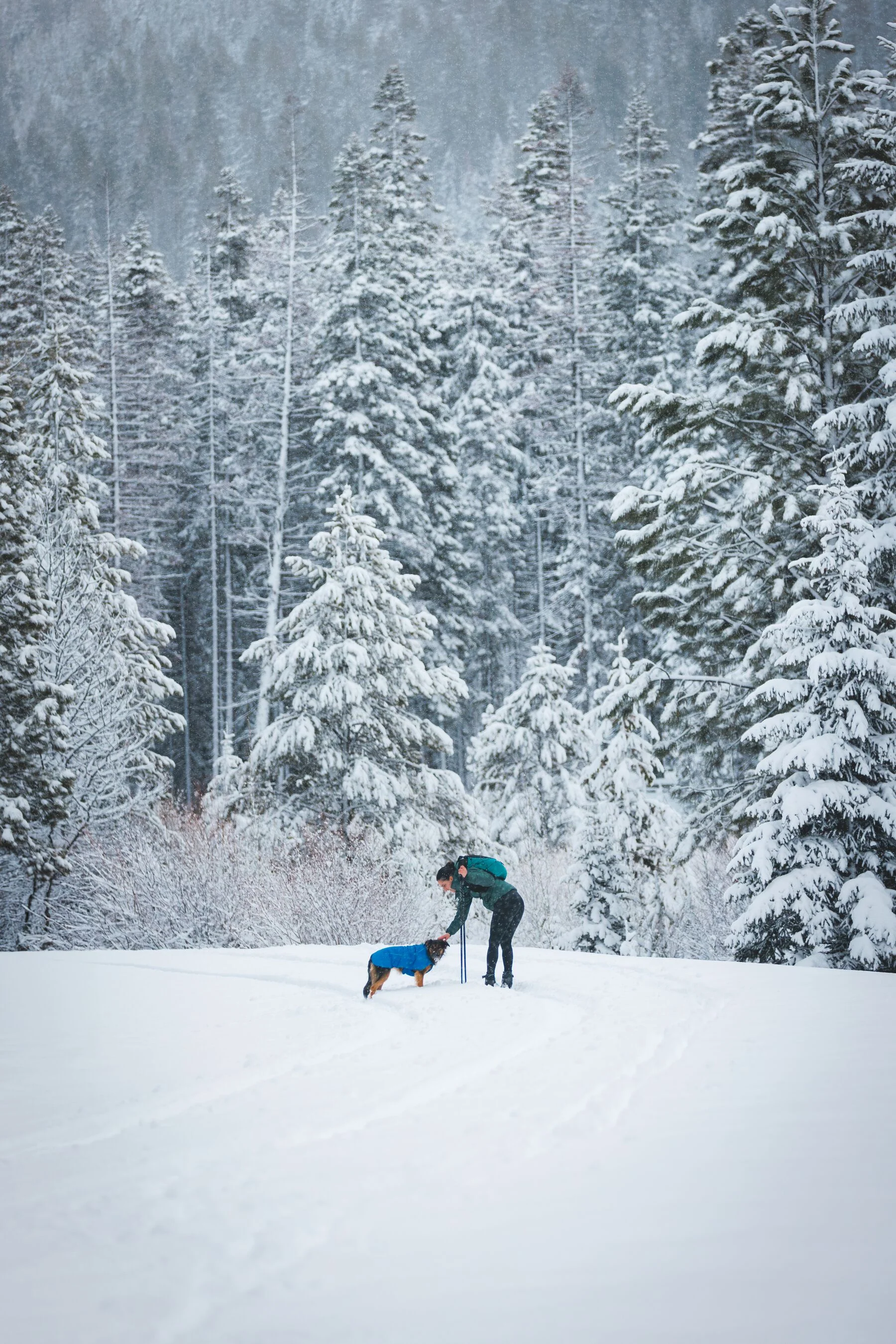 Imagen del producto 22