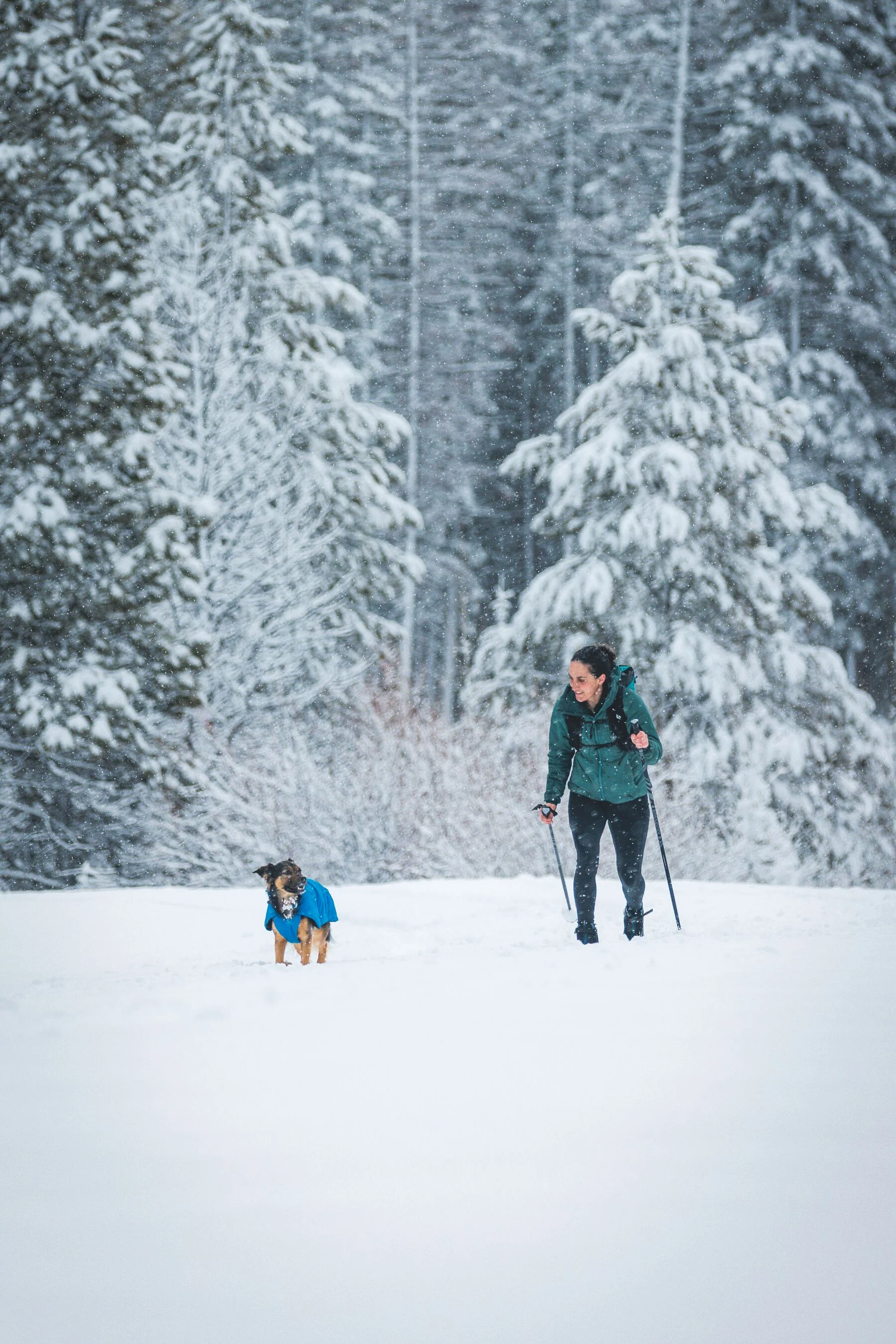 Imagen del producto 23