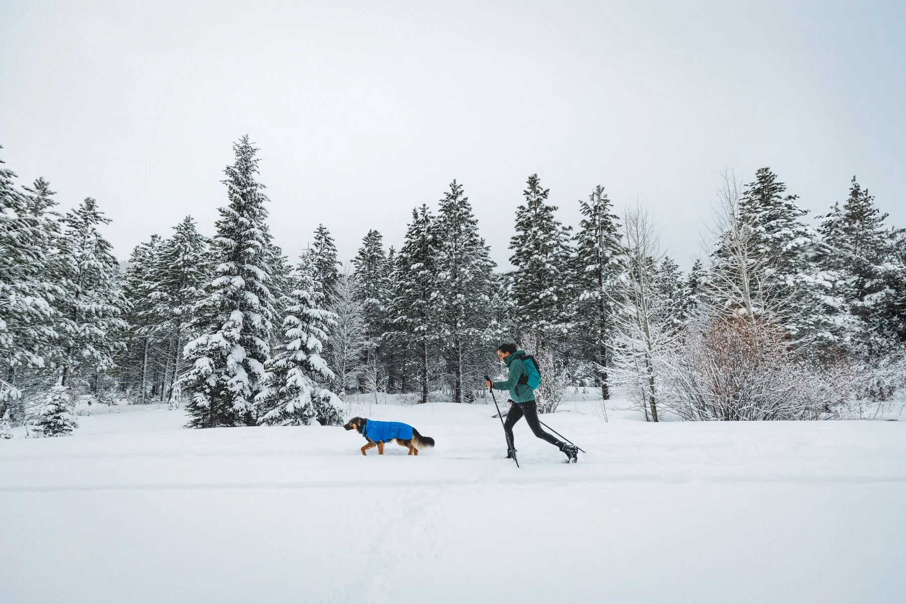 Imagen del producto 25