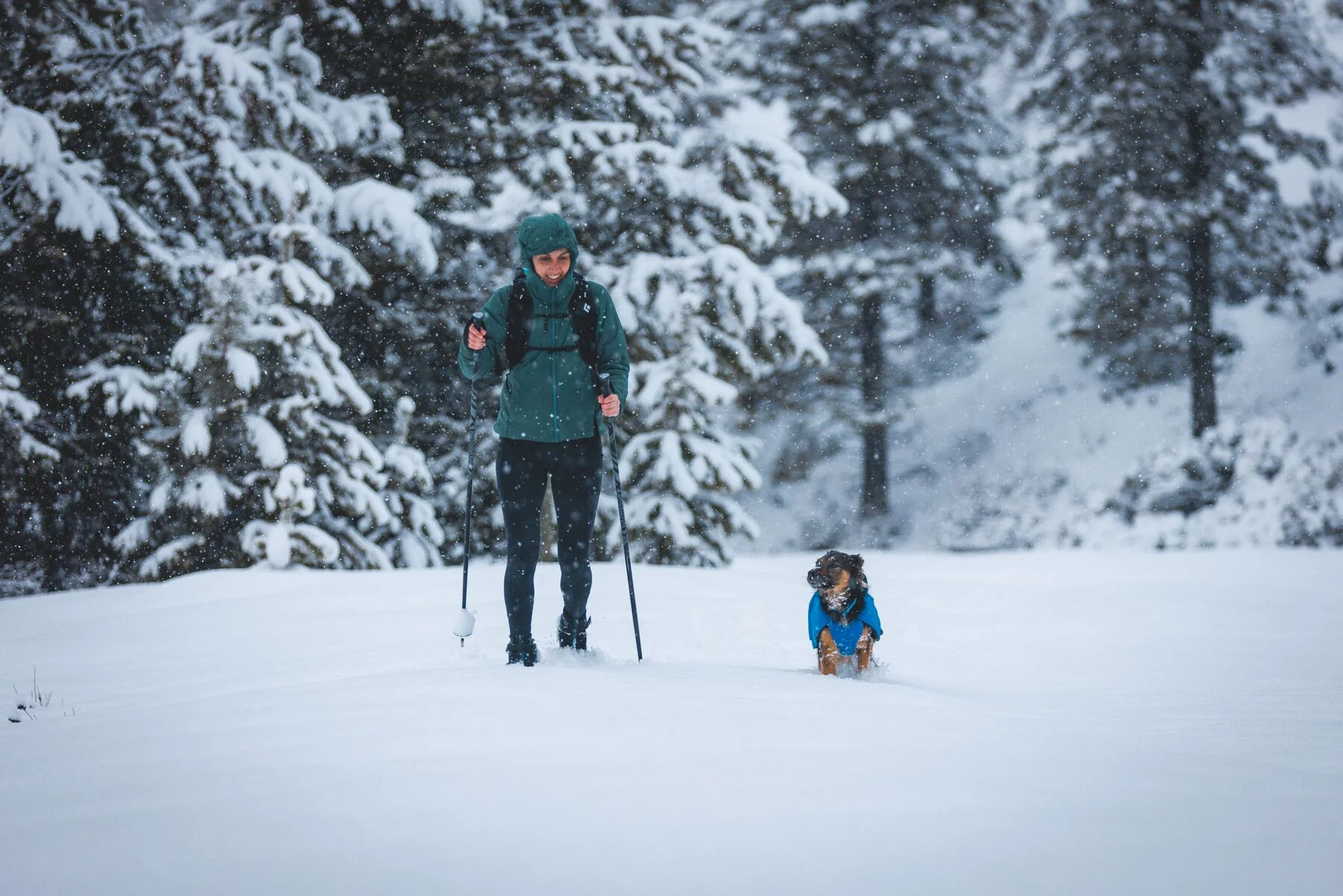 Imagen del producto 30