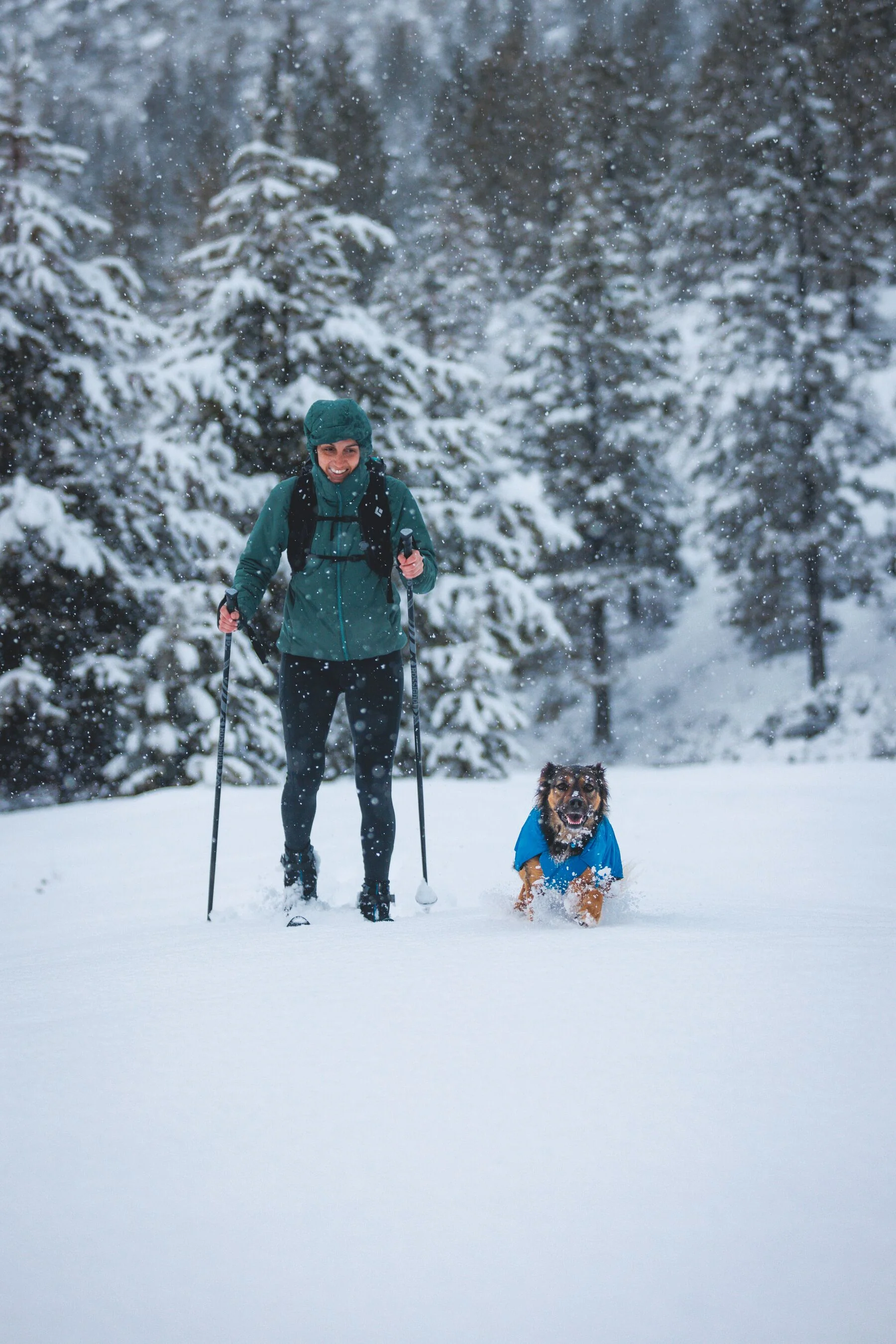 Imagen del producto 31