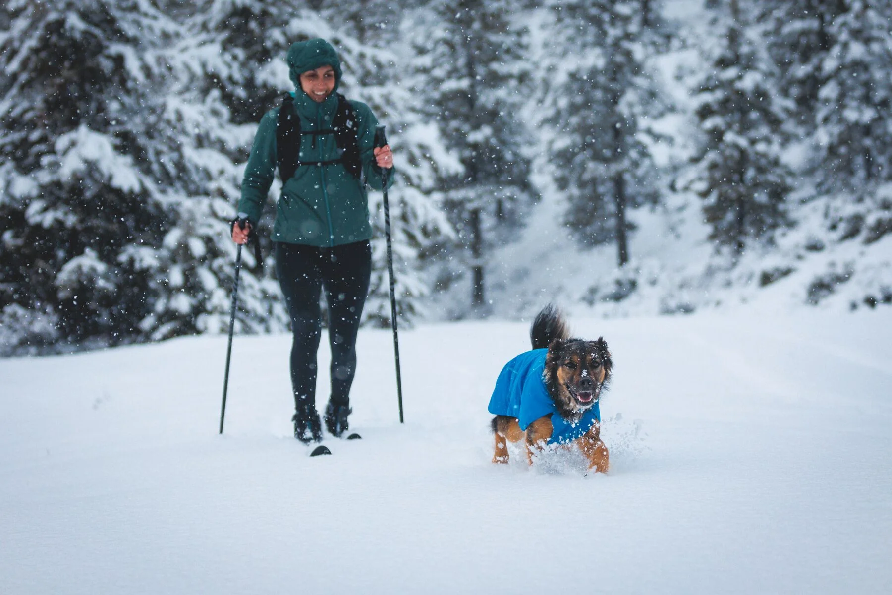 Imagen del producto 32