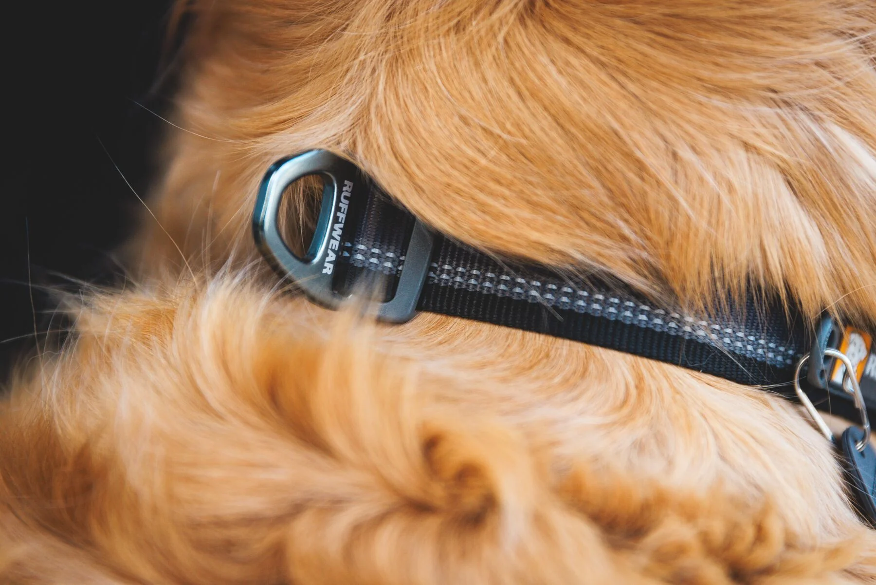 Imagen del producto 39