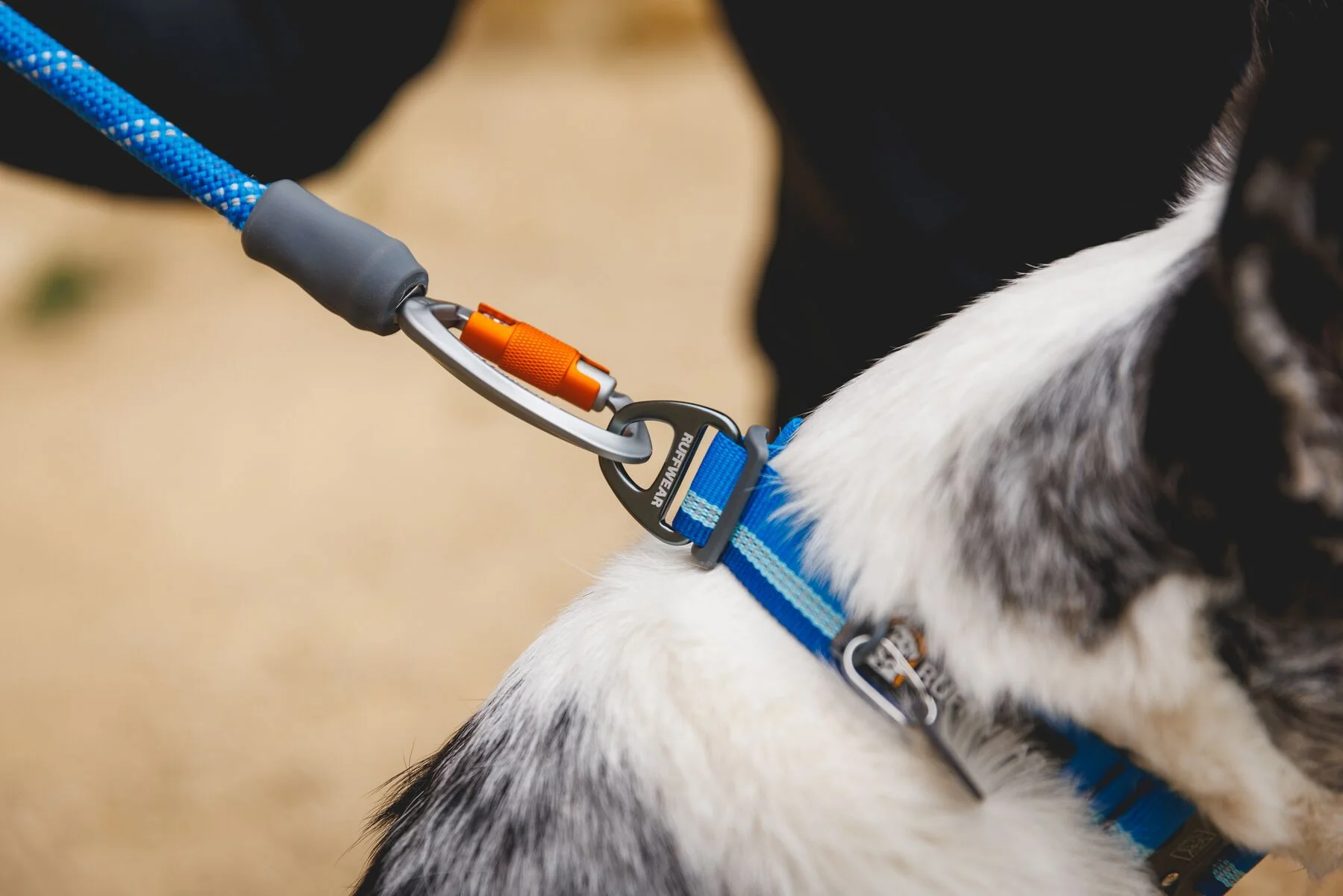 Imagen del producto 41