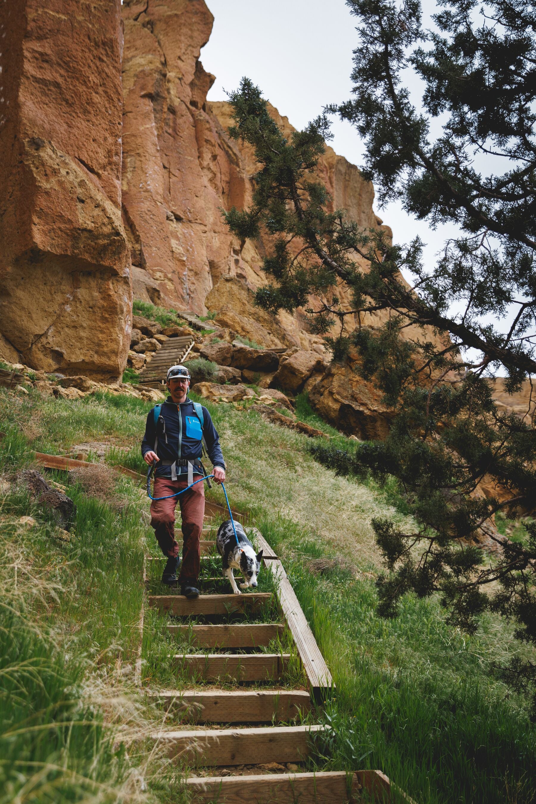 Imagen del producto 43