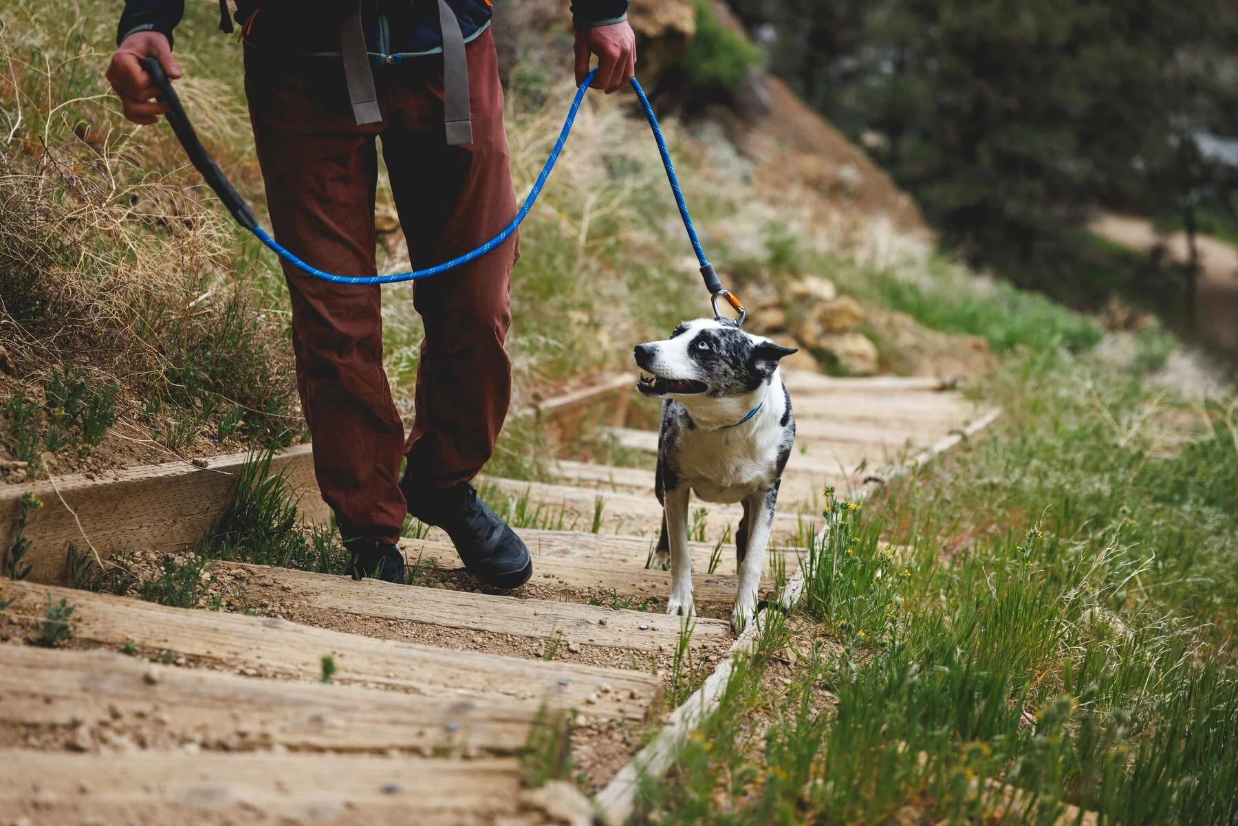 Imagen del producto 44