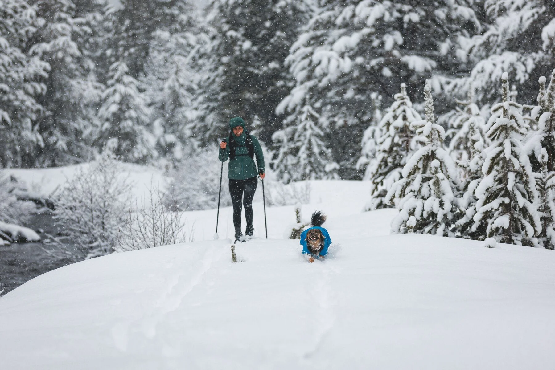 Imagen del producto 6