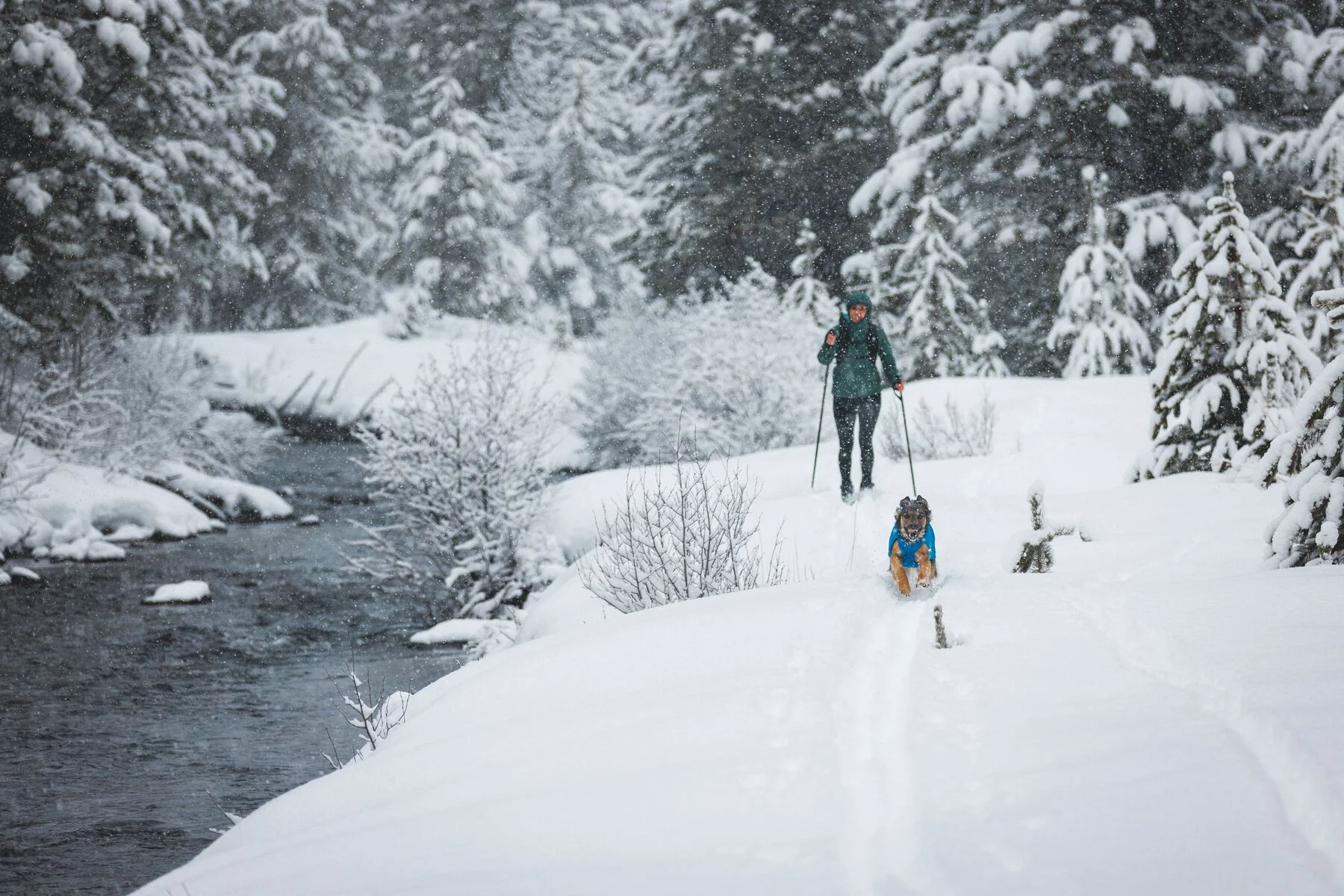 Imagen del producto 8