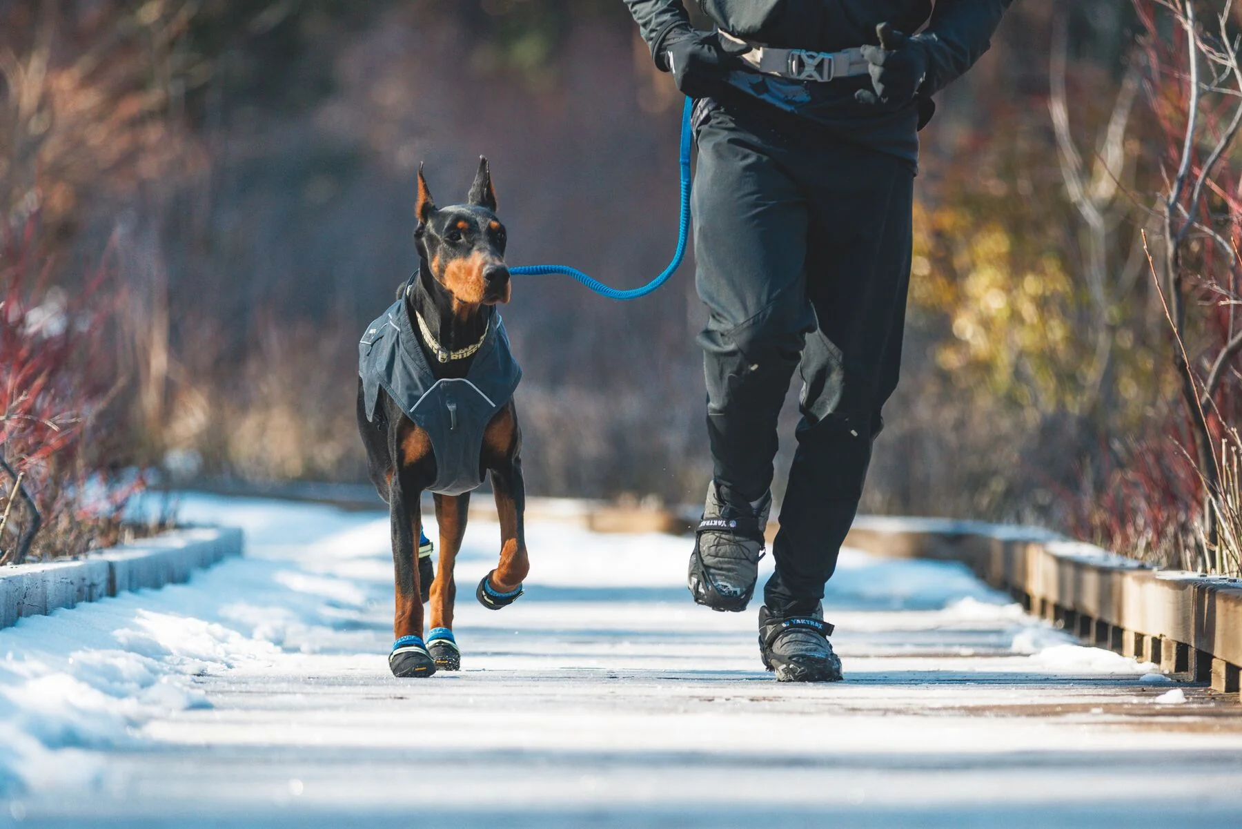 Imagen del producto 19