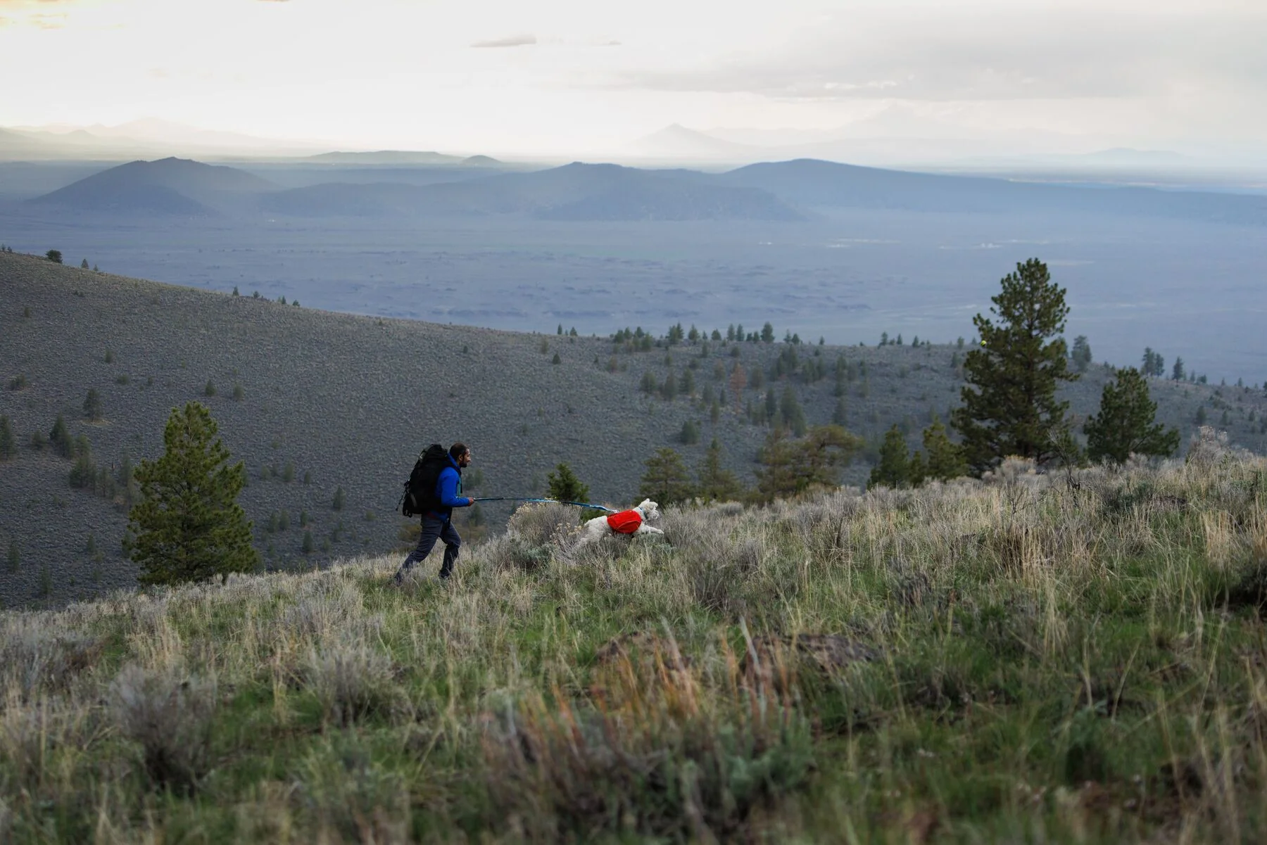 Imagen del producto 12