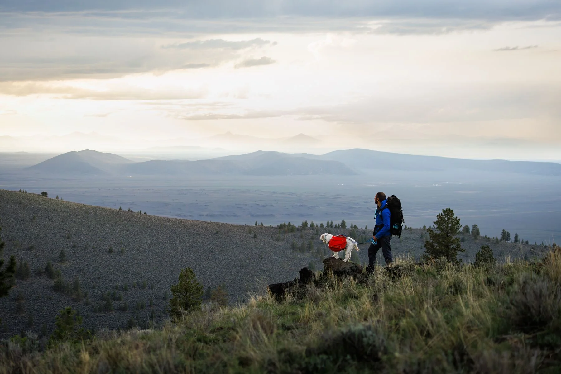 Imagen del producto 13