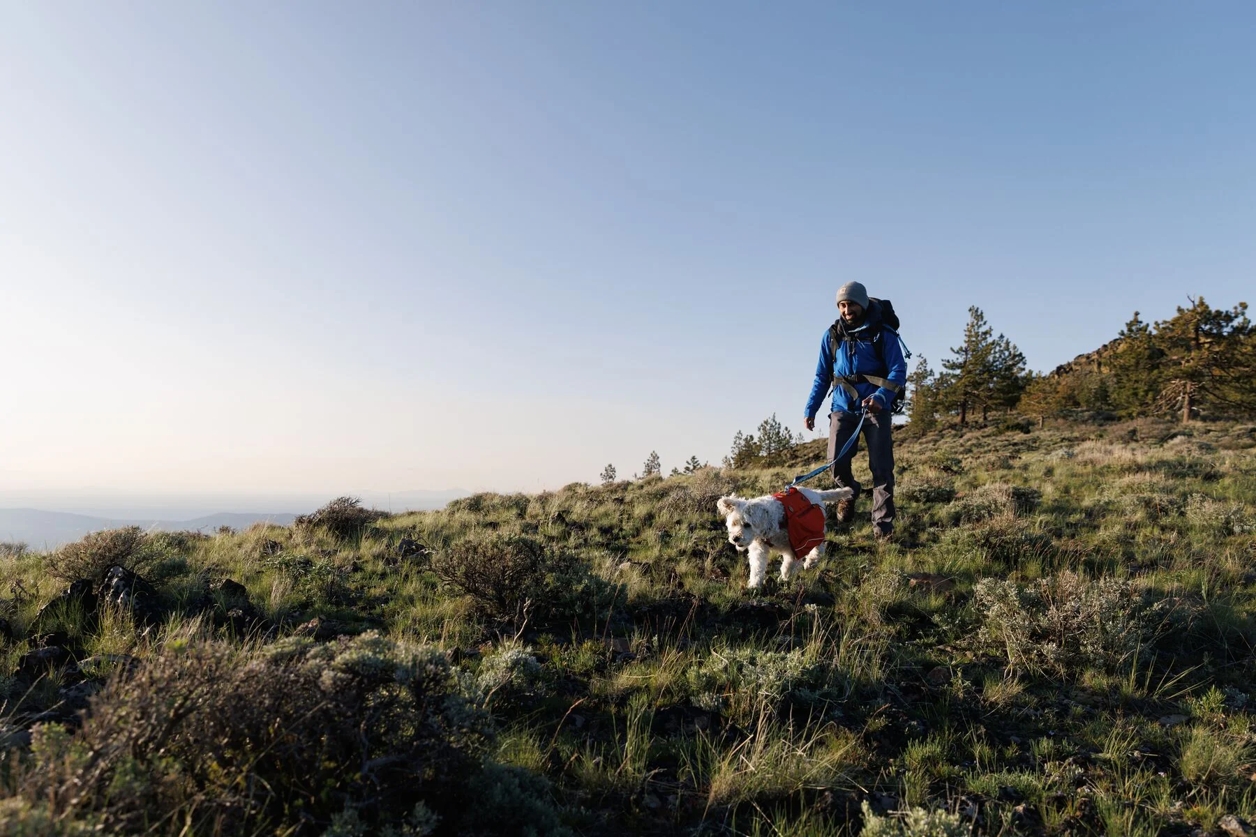 Imagen del producto 18