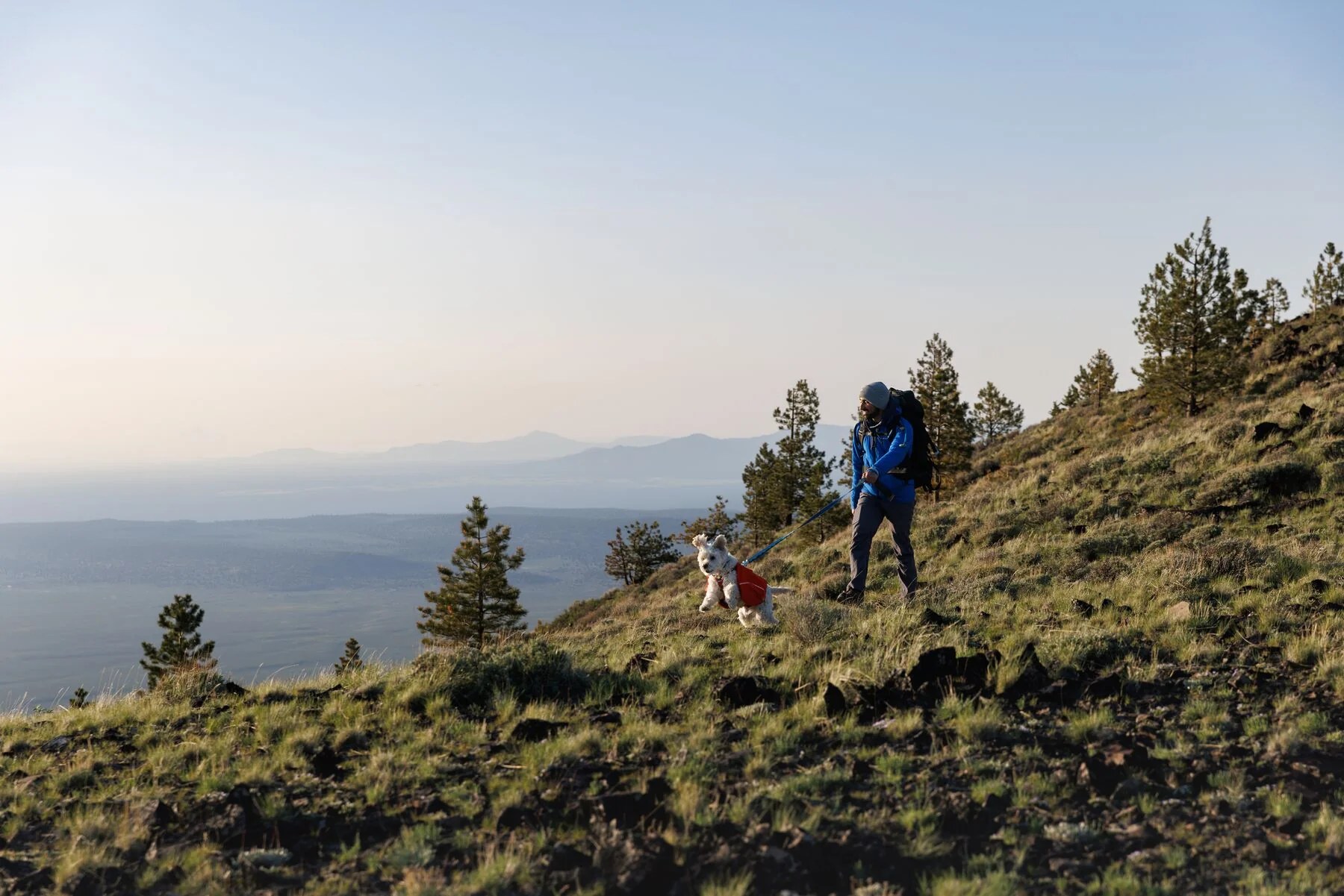 Imagen del producto 21