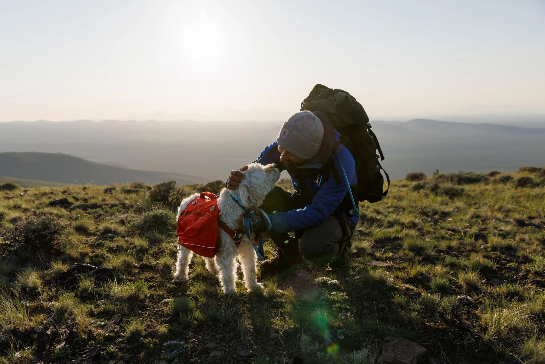 Imagen del producto 37