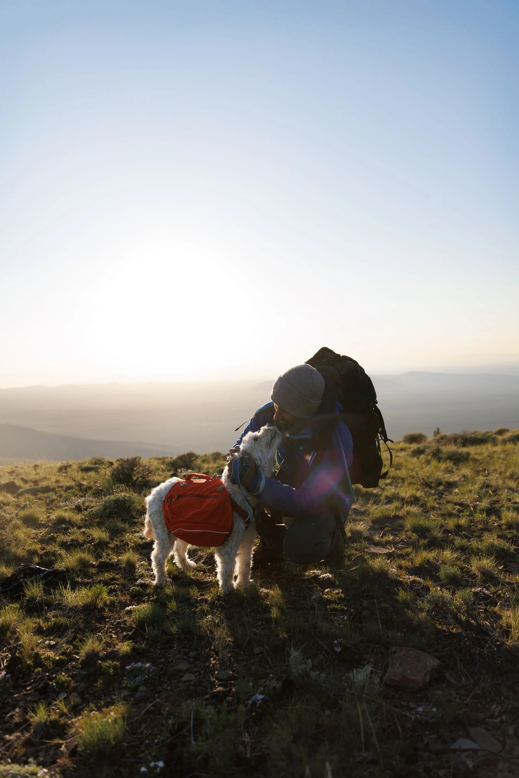 Imagen del producto 38