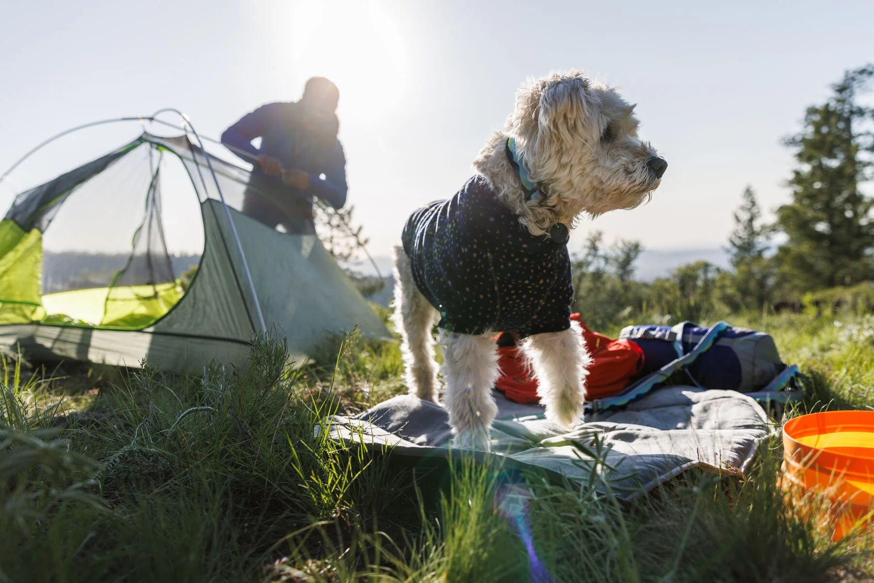 Imagen del producto 41