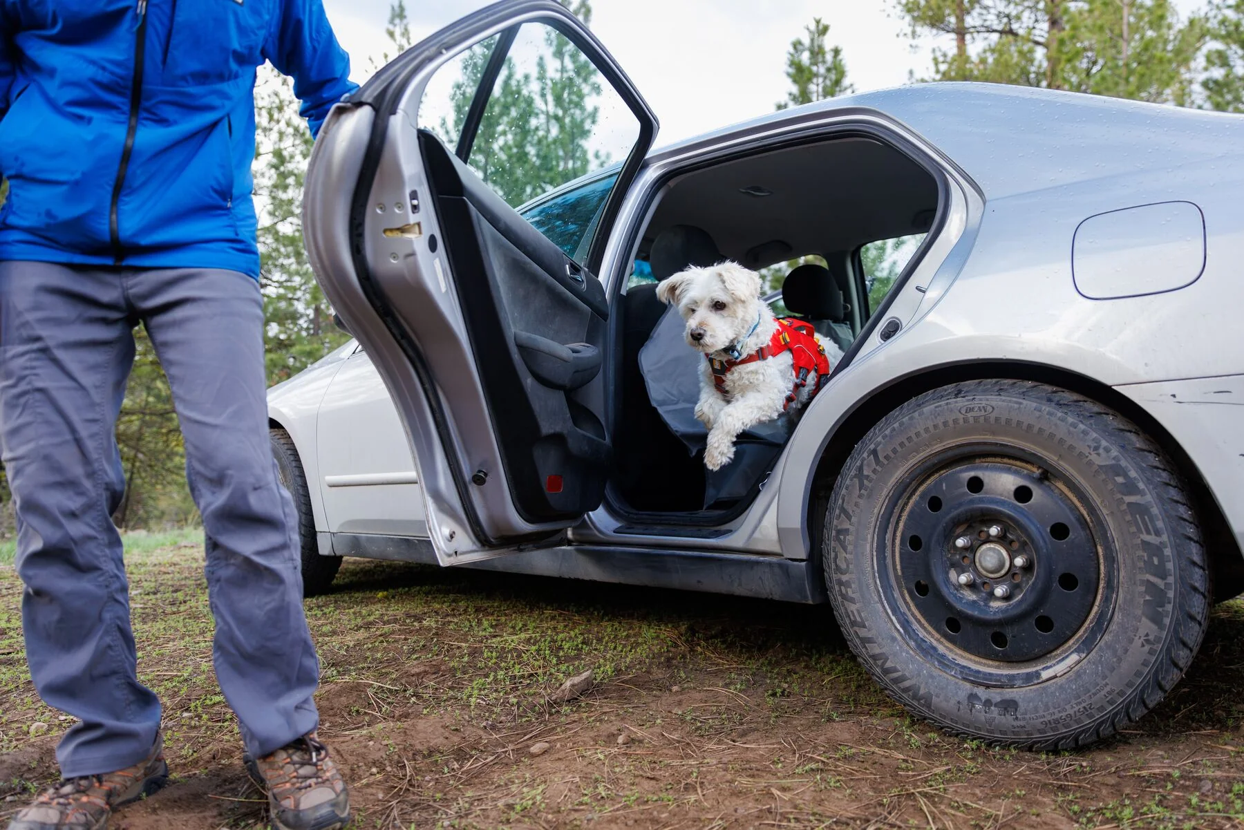 Imagen del producto 42