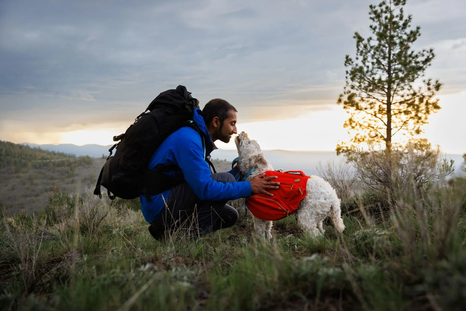 Imagen del producto 44