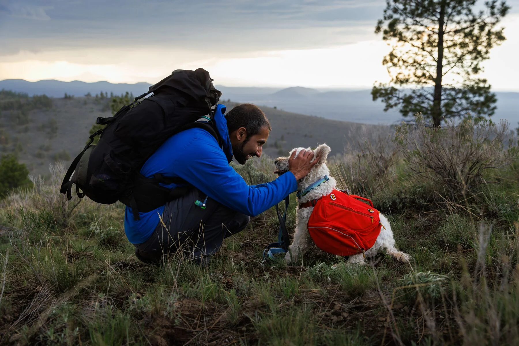 Imagen del producto 45