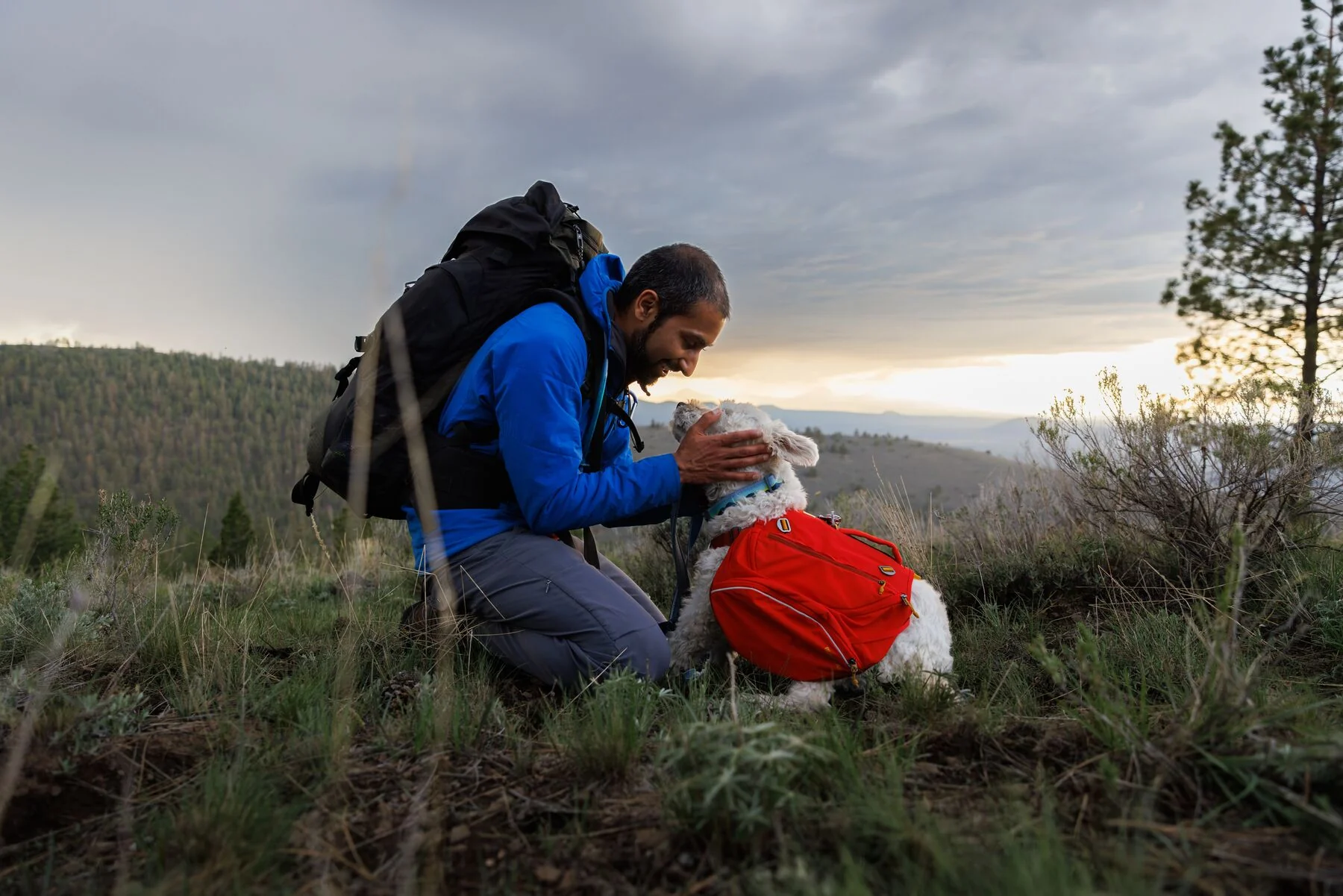 Imagen del producto 46