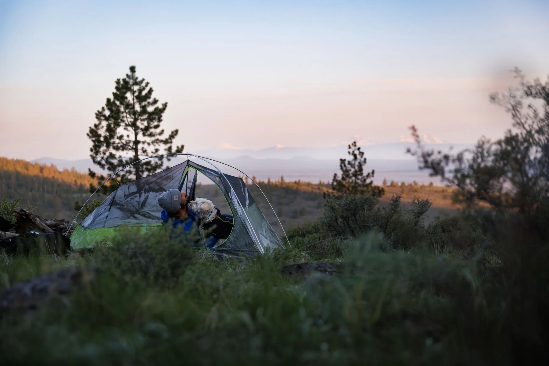 Imagen del producto 50