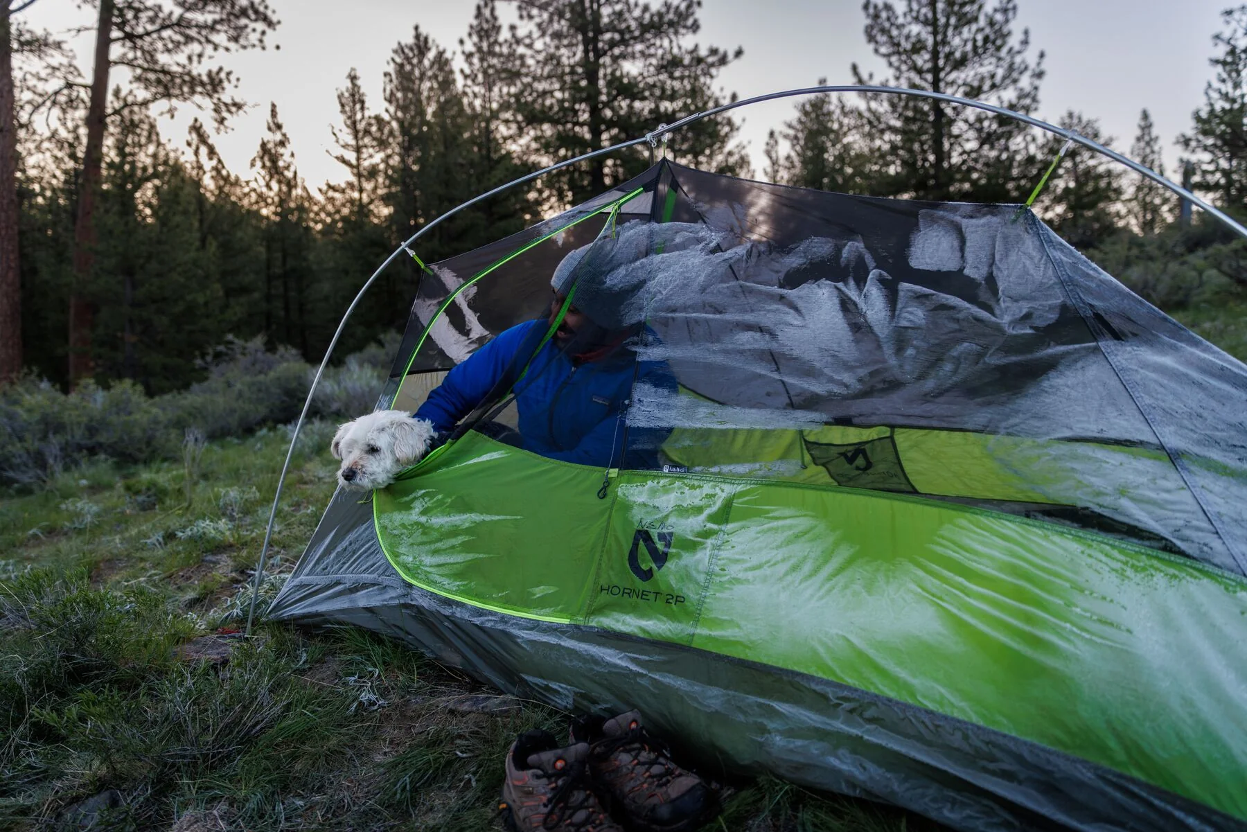 Imagen del producto 51