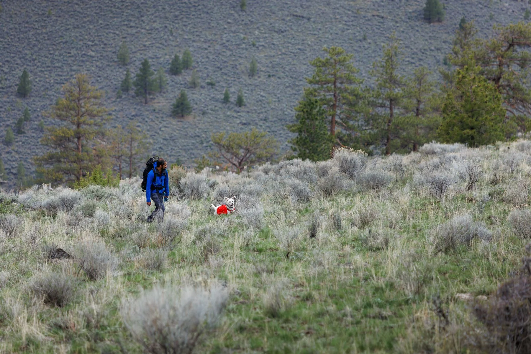 Imagen del producto 6