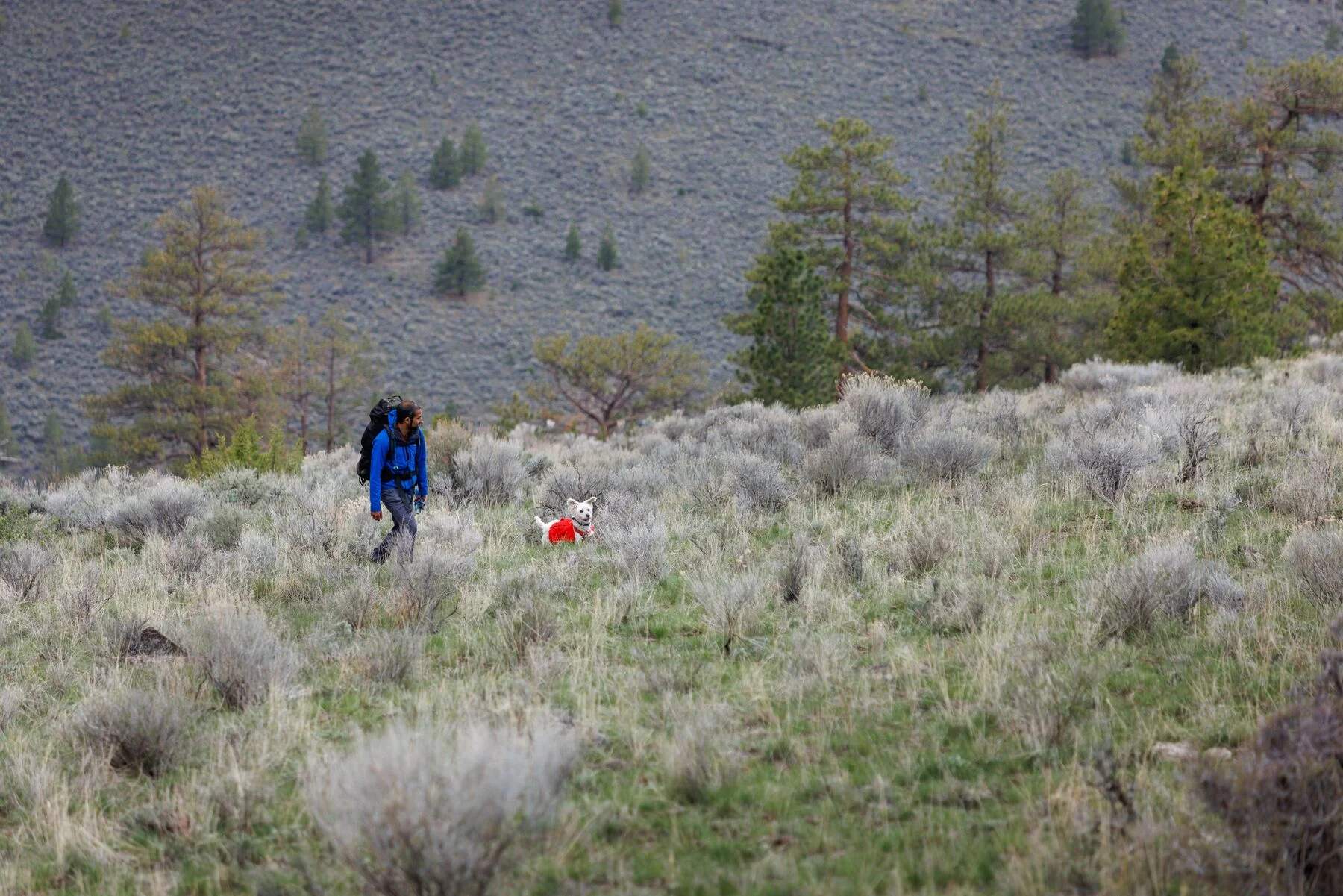 Imagen del producto 7