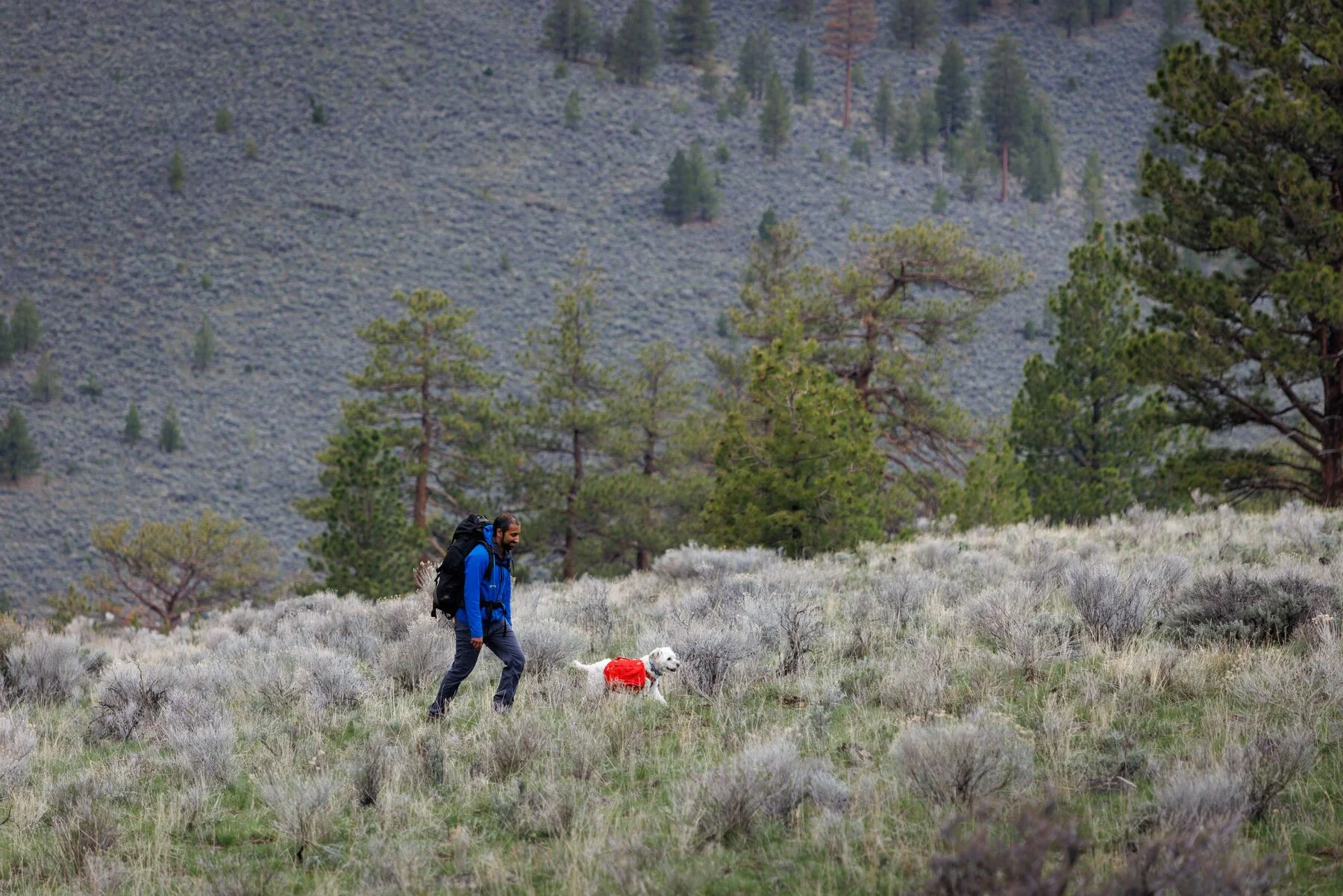 Imagen del producto 8