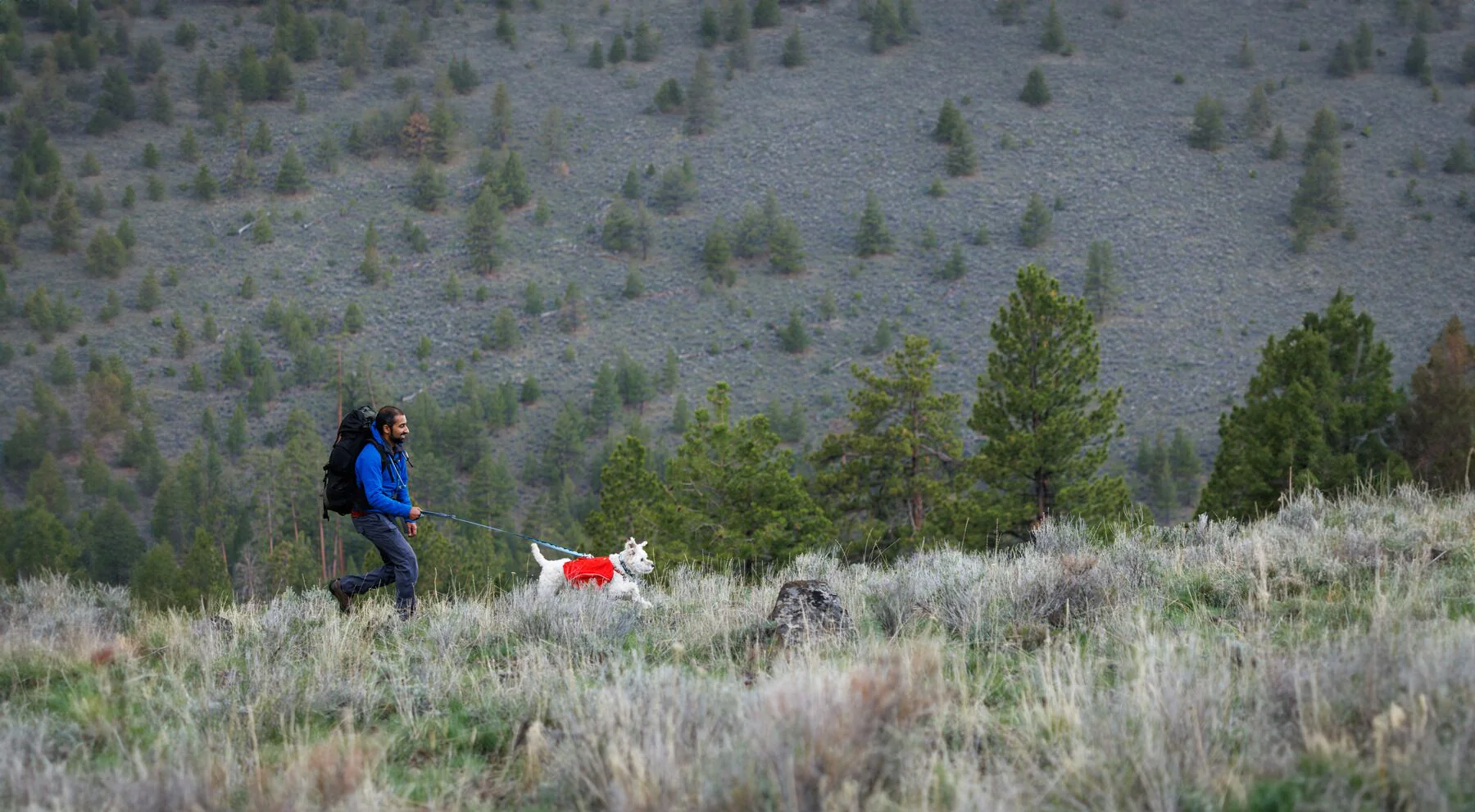 Imagen del producto 9