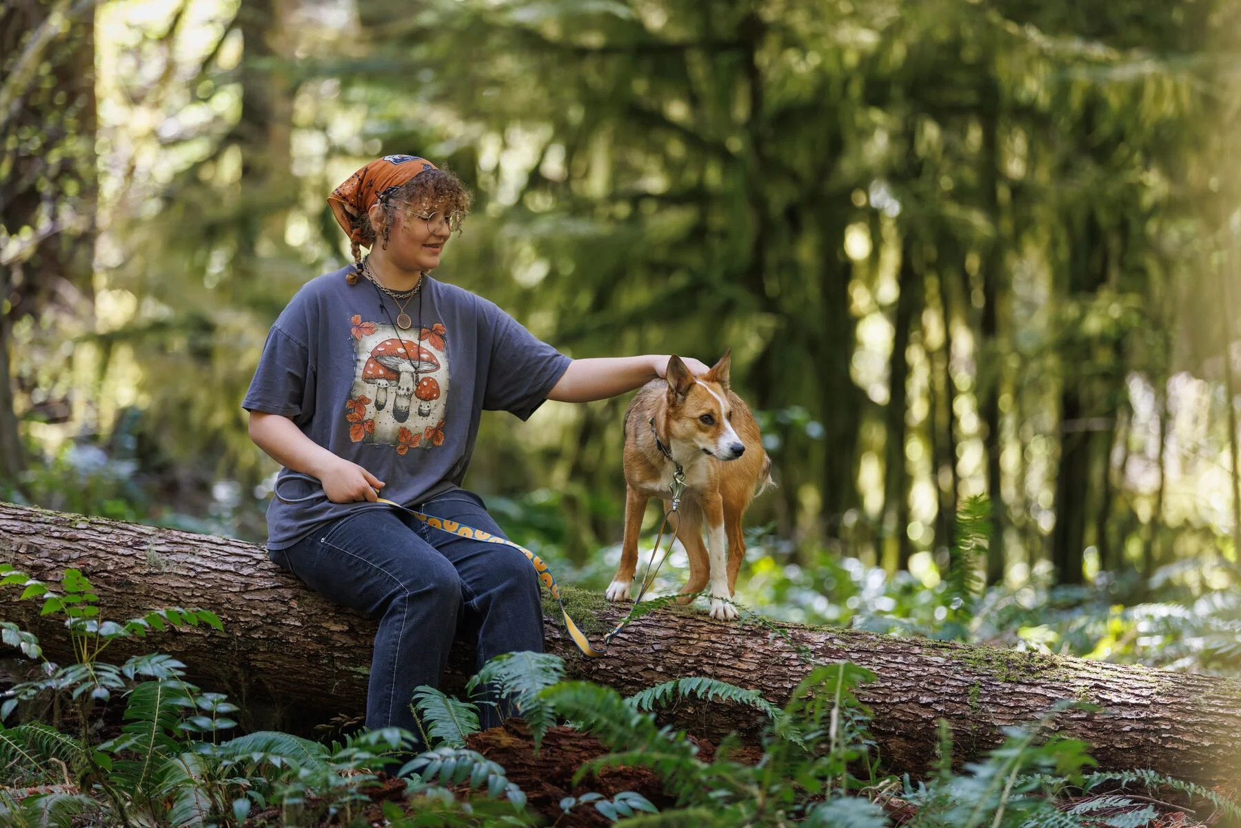 Imagen del producto 11