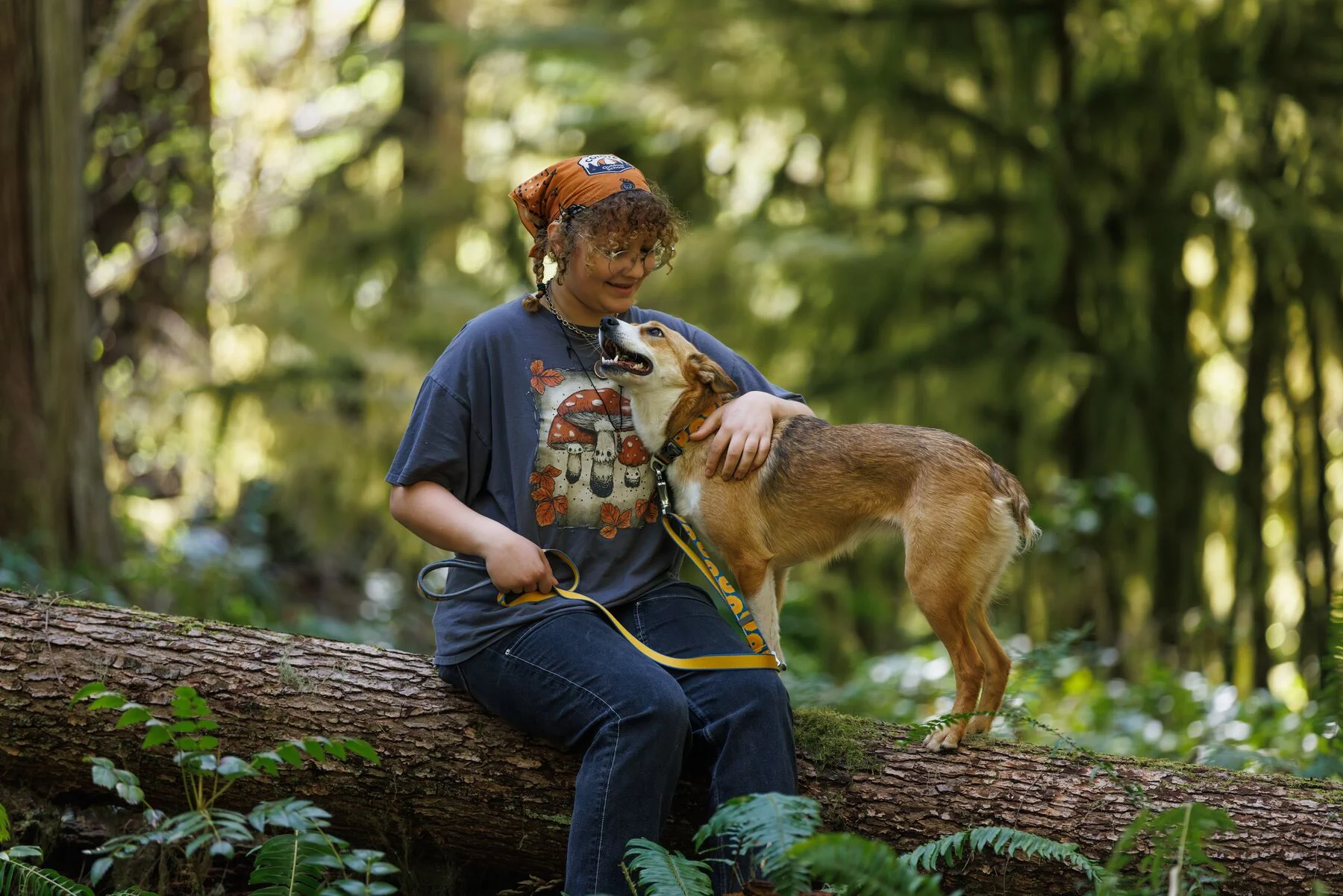 Imagen del producto 12