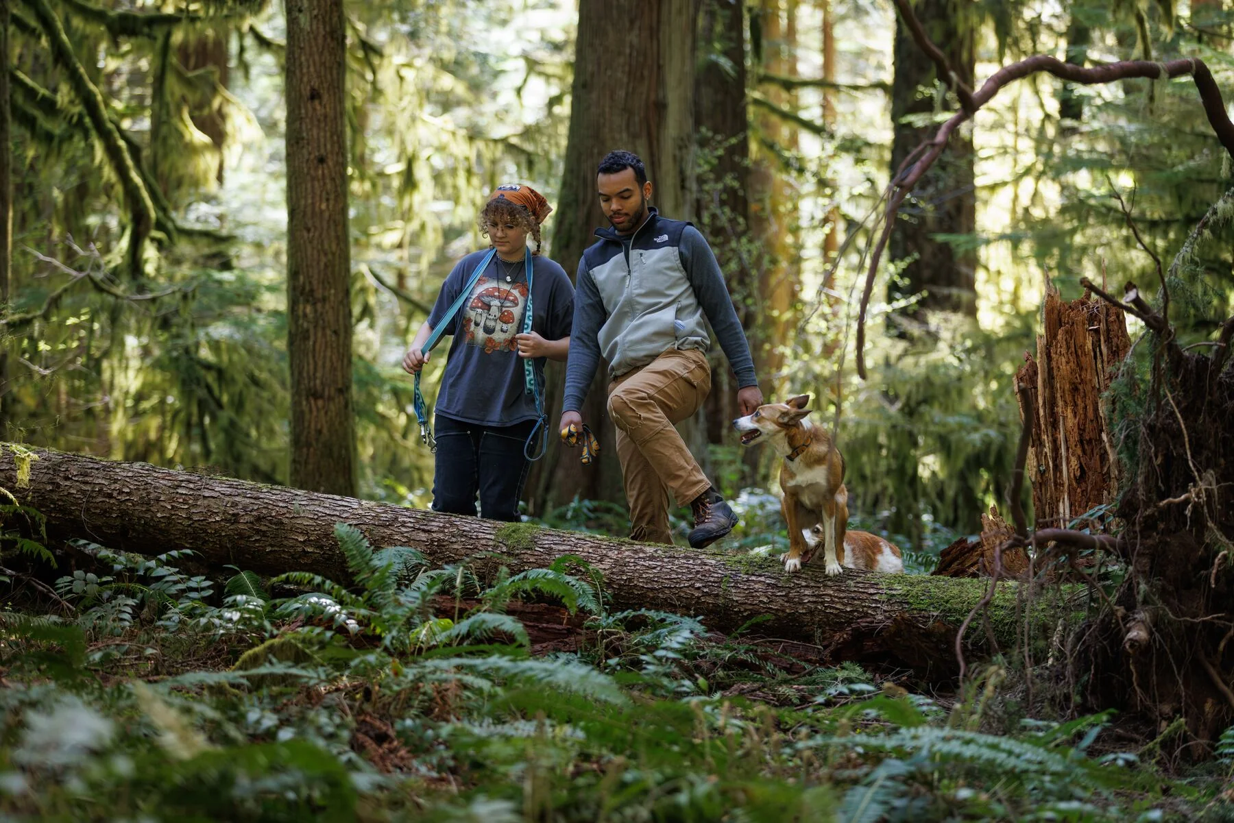 Imagen del producto 11