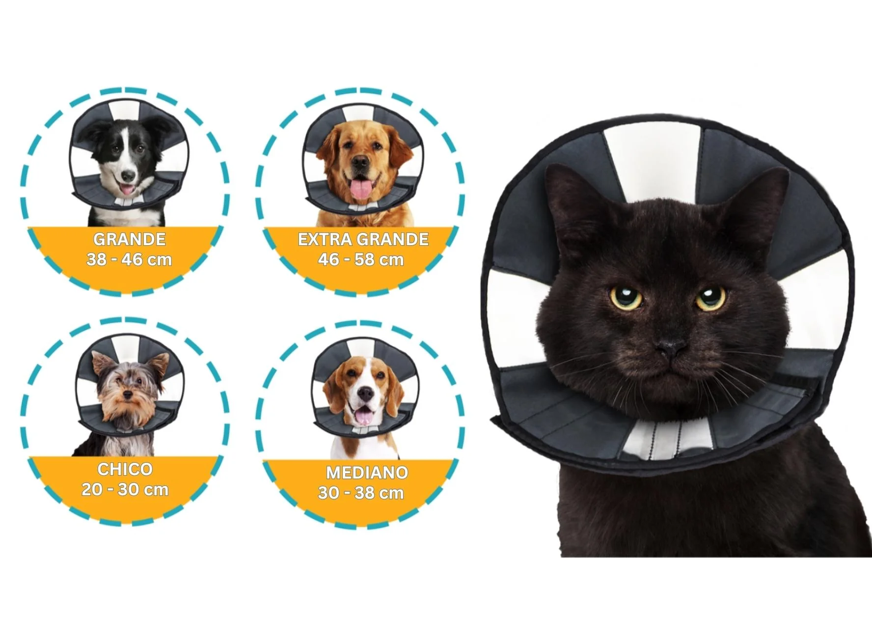 Imagen del producto 7