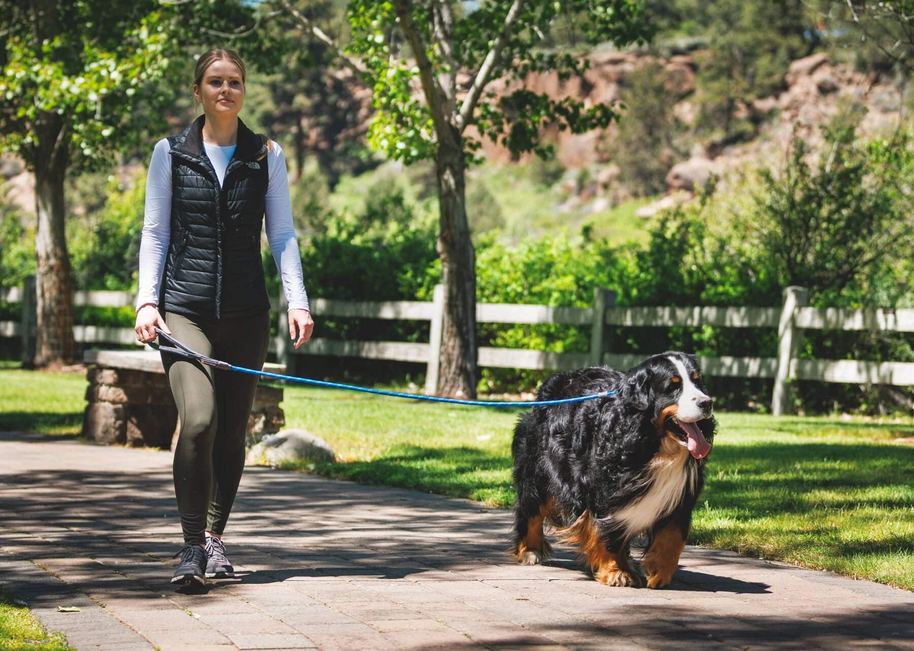 Imagen del producto 10