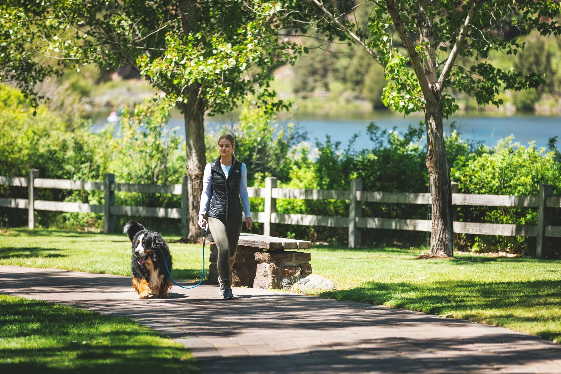 Imagen del producto 11