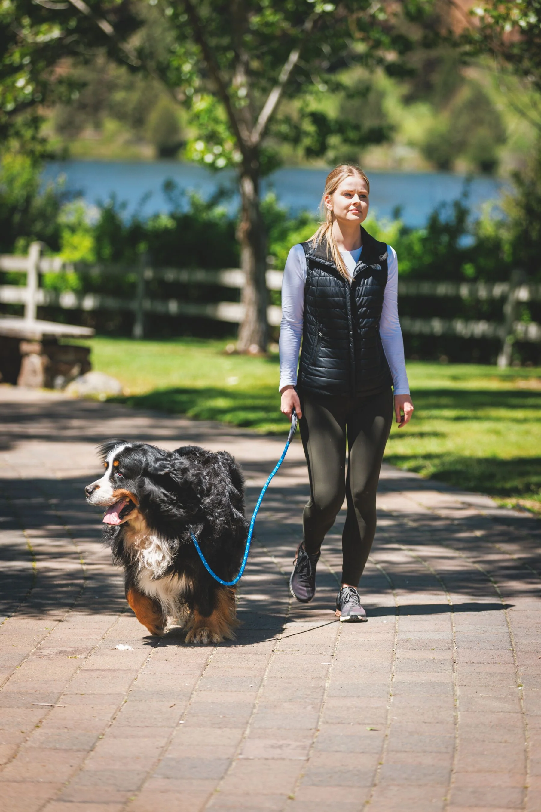 Imagen del producto 12