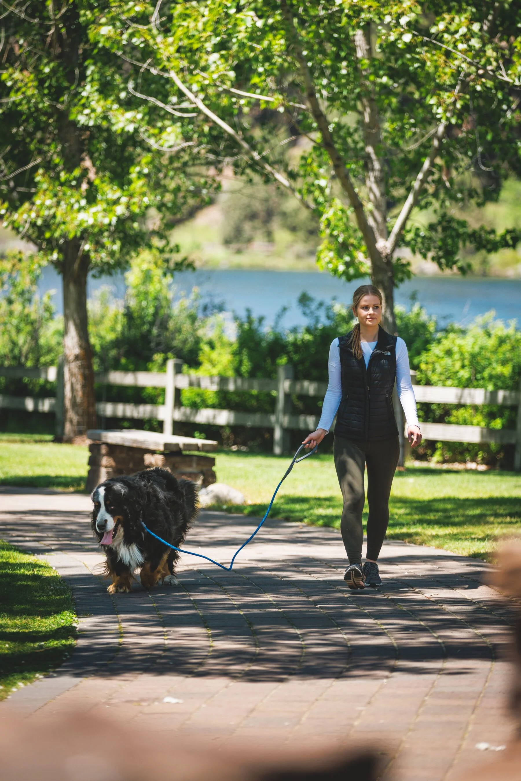 Imagen del producto 13