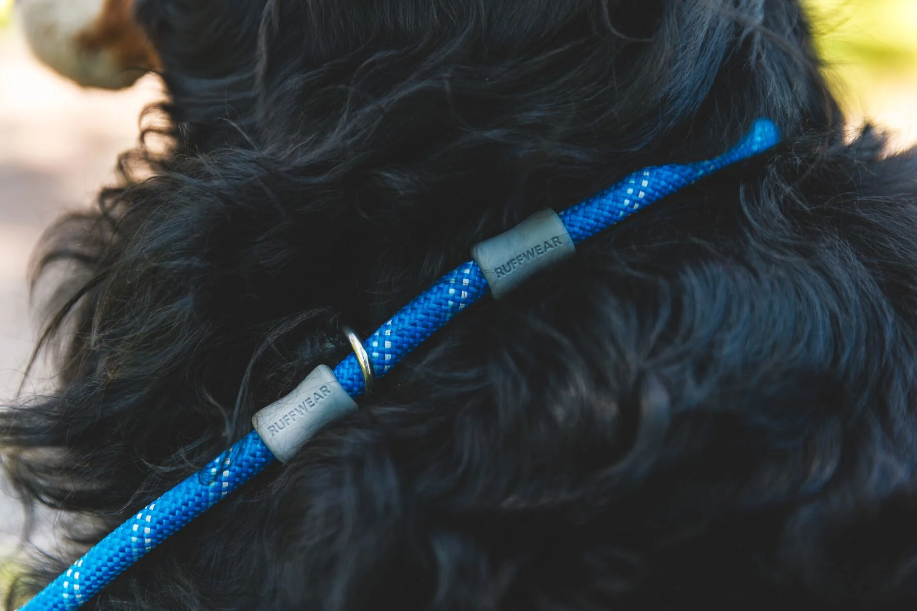 Imagen del producto 15