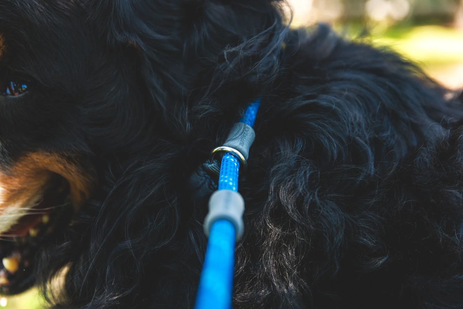 Imagen del producto 16