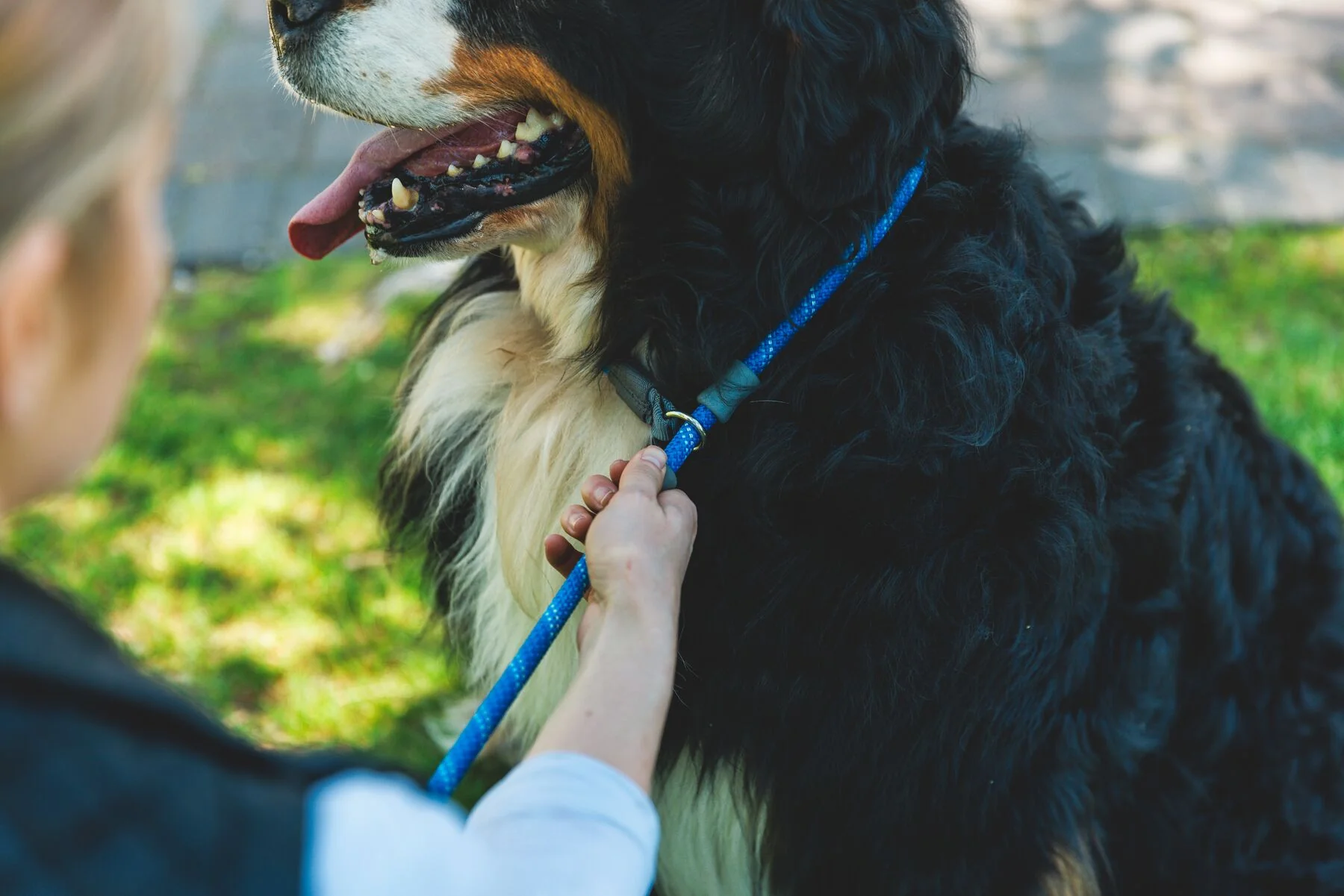 Imagen del producto 9