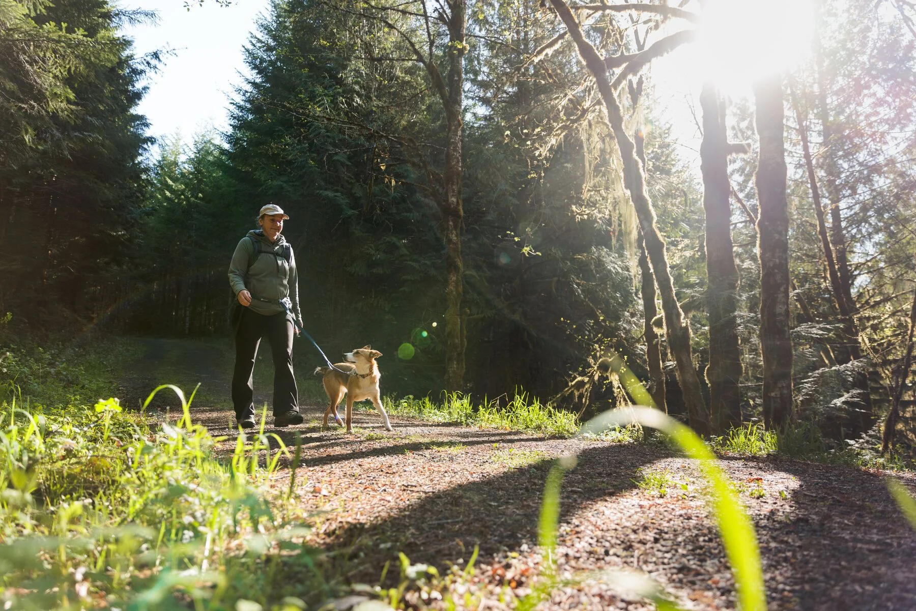 Imagen del producto 8